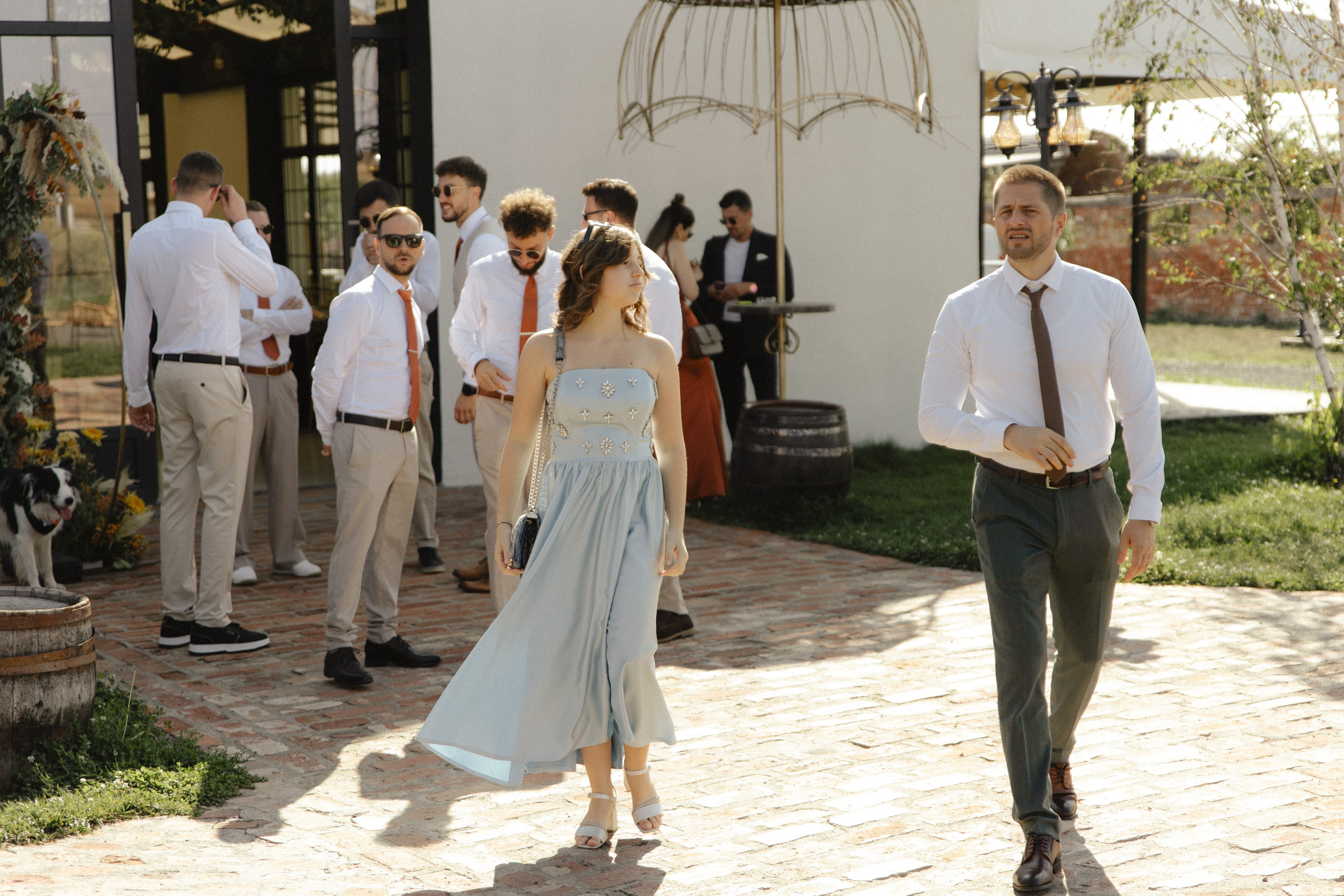 Wedding at Province Timisoara | Cristina & Robert. Wedding photographer and videographer based in Timisoara, Romania