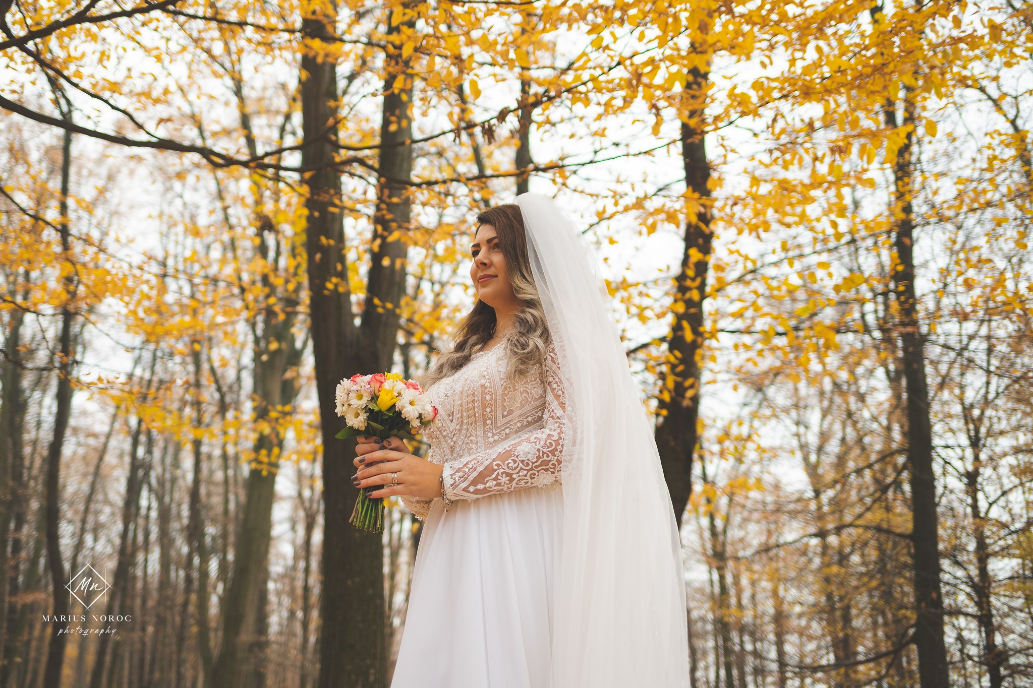 Oana & Daniel | Padurea Bucium Iasi