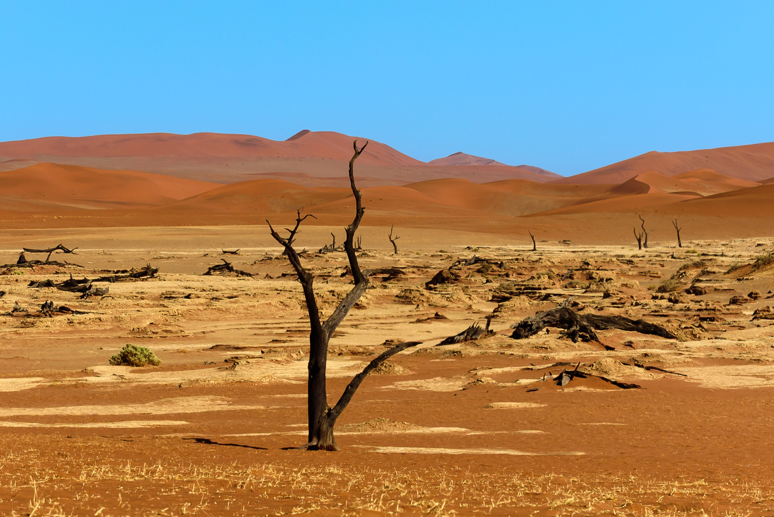 Travel. Klausenburg Photography