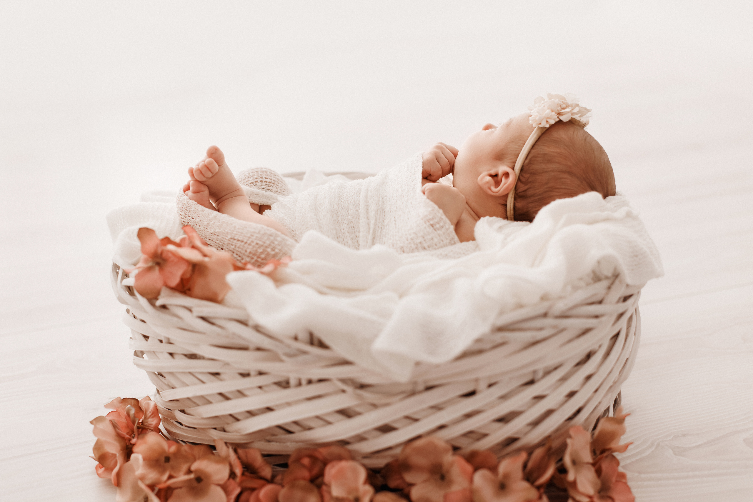 Neugeborene. Elena Osadcij Photography Lohmar NRW