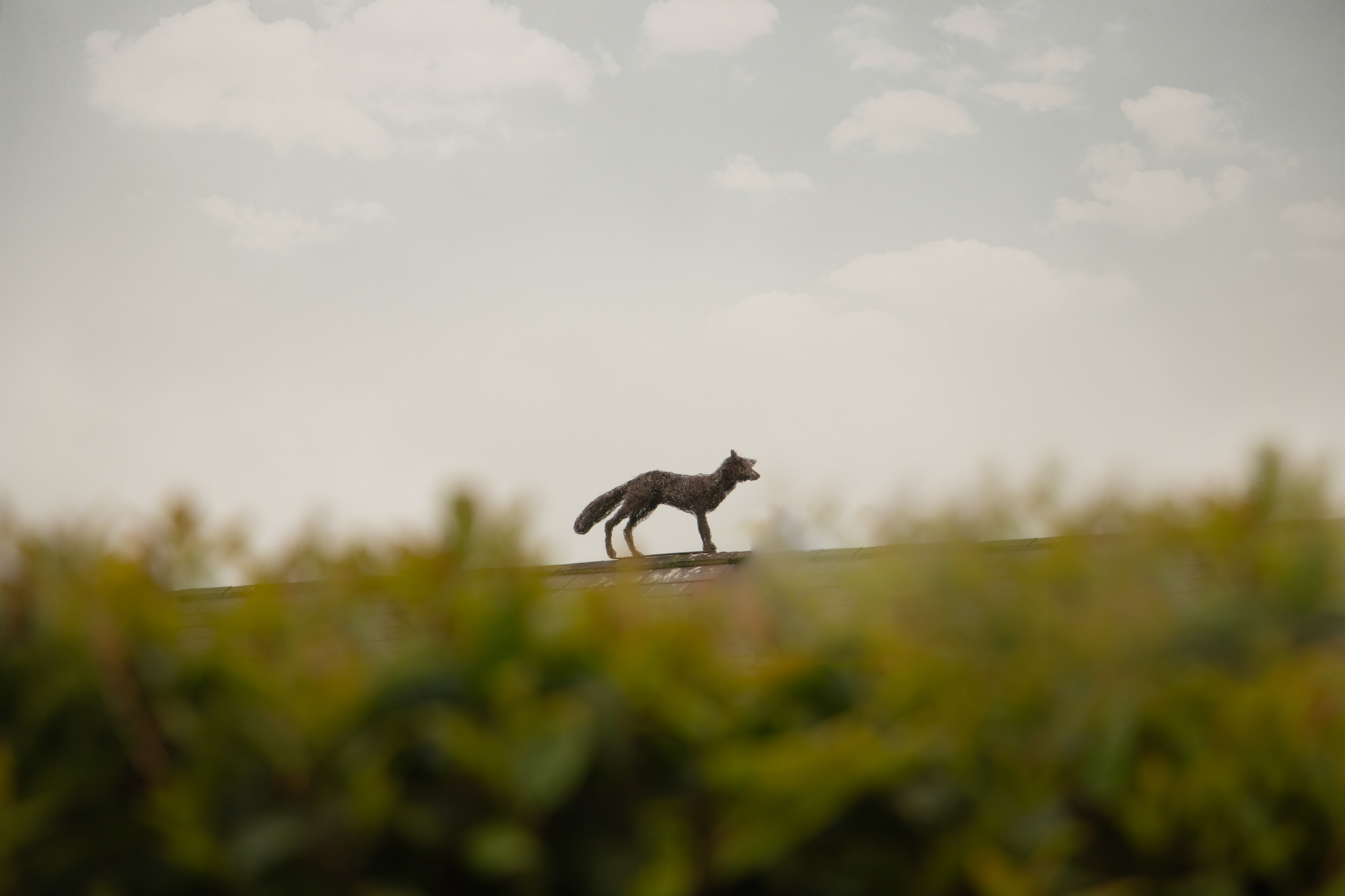 Punchestown. Photographer Co Dublin, Balbriggan — Agata Maliseva