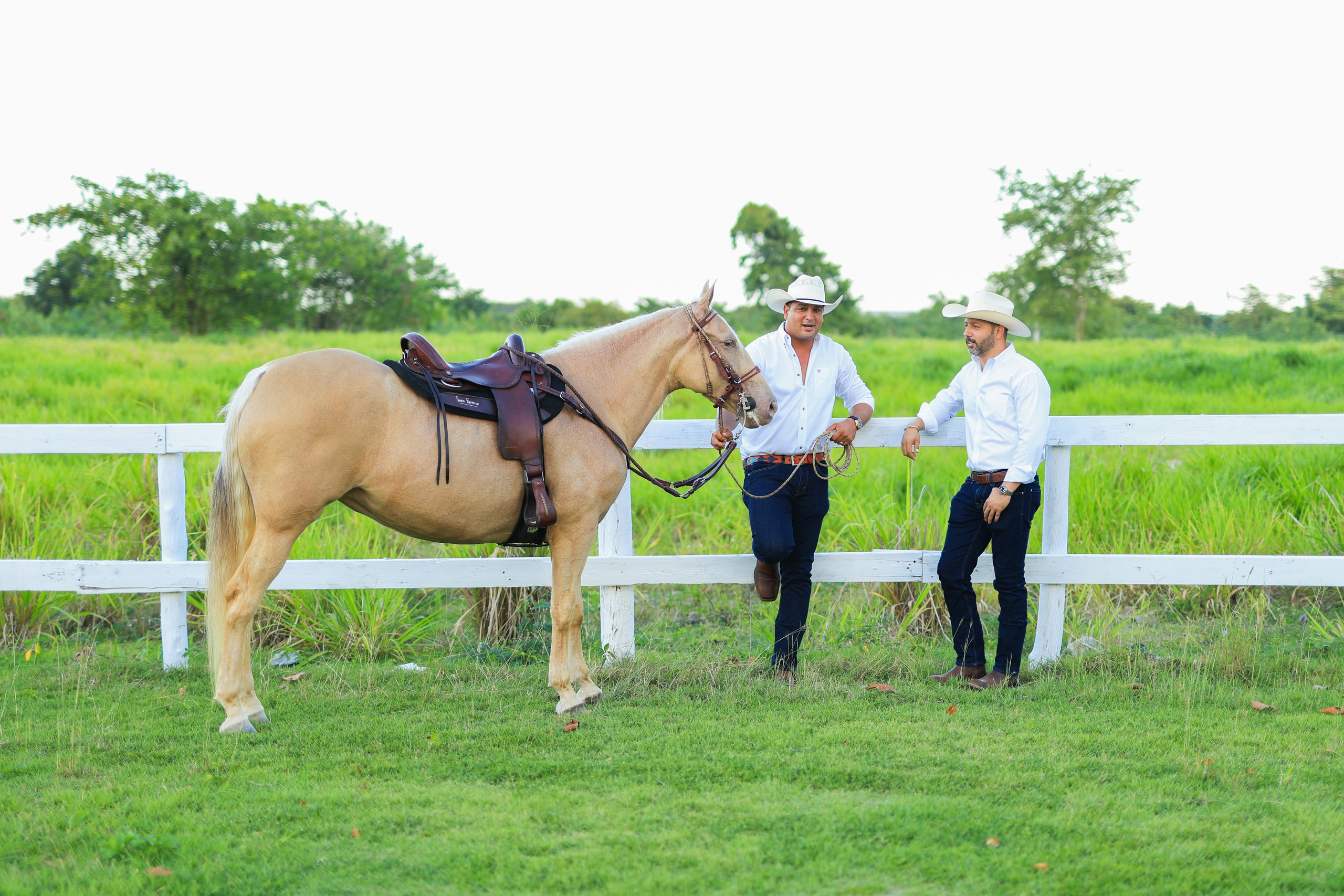 Criadero AC - Documental. VisualAvalon