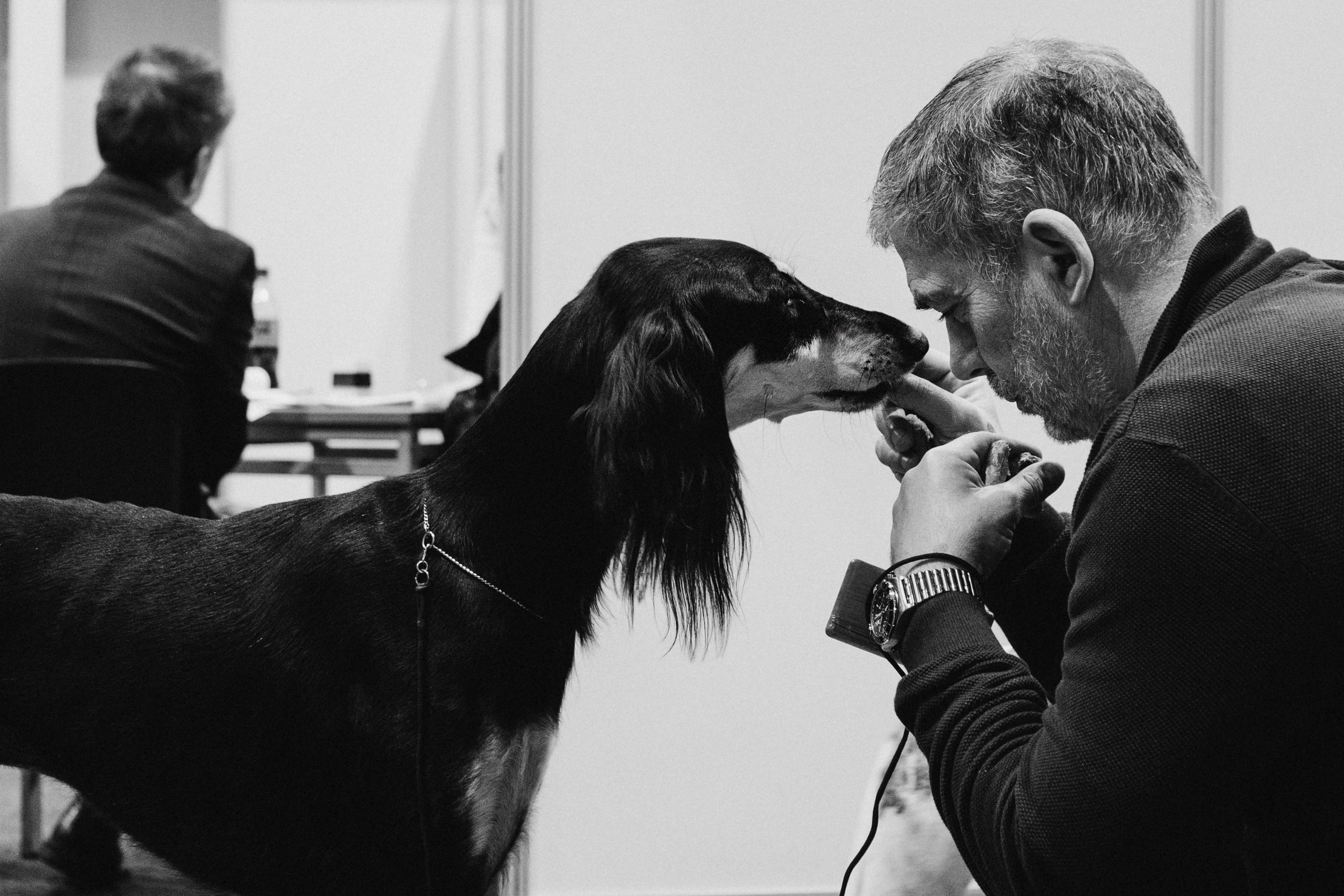 Tartu International Dog Show. Kat Laisaar — Pet photographer in Tallinn