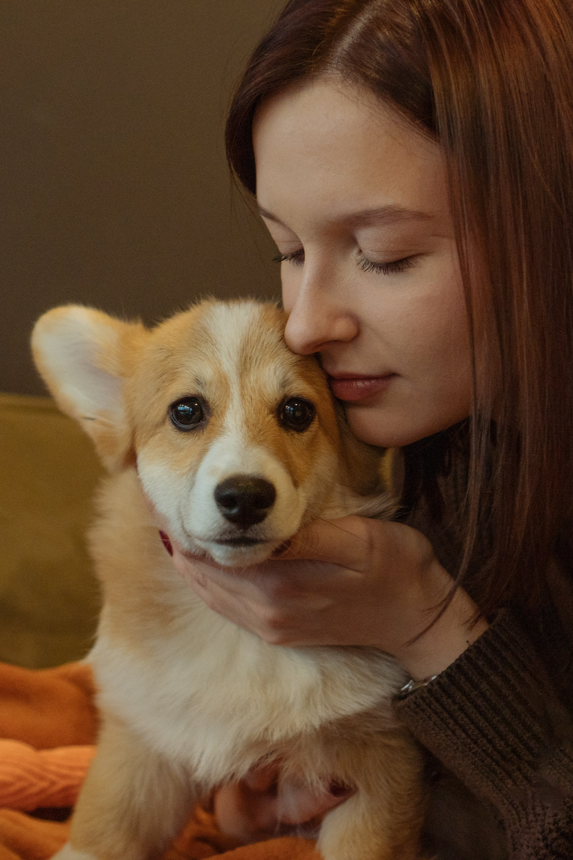 Anastasia and her Ada, Pembroke Welsh Corgi. Kat Laisaar — Pet photographer in Tallinn