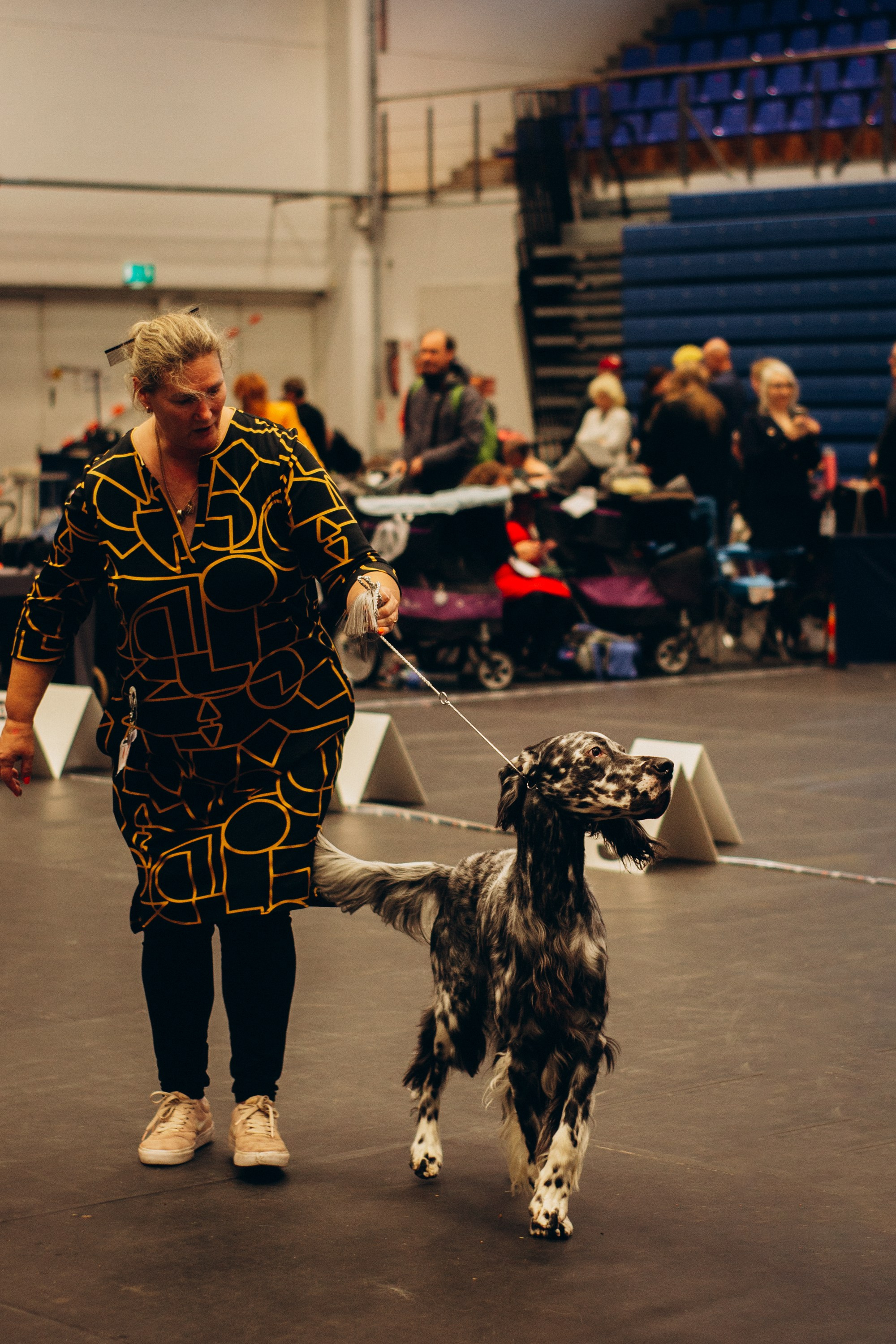 Rakvere Dog Show. Kat Laisaar — Pet photographer in Tallinn