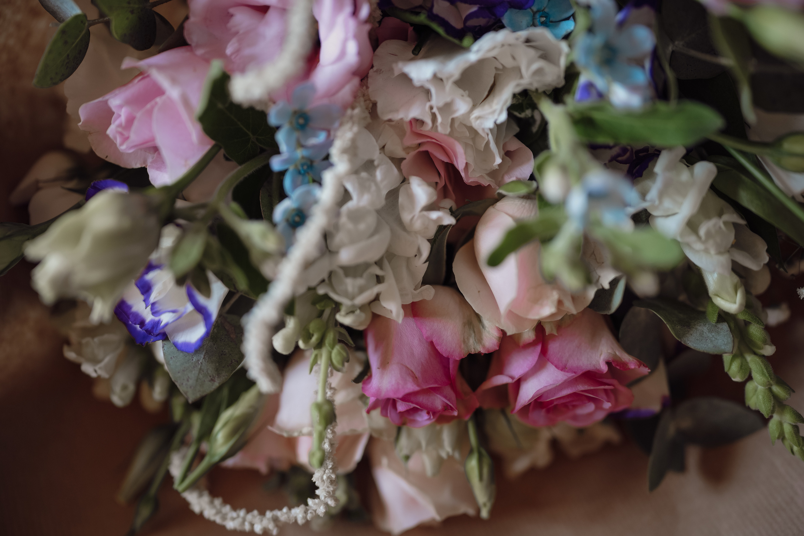 Ж. Фотограф и видеоограф в Израиле Ольга Харнас Studio