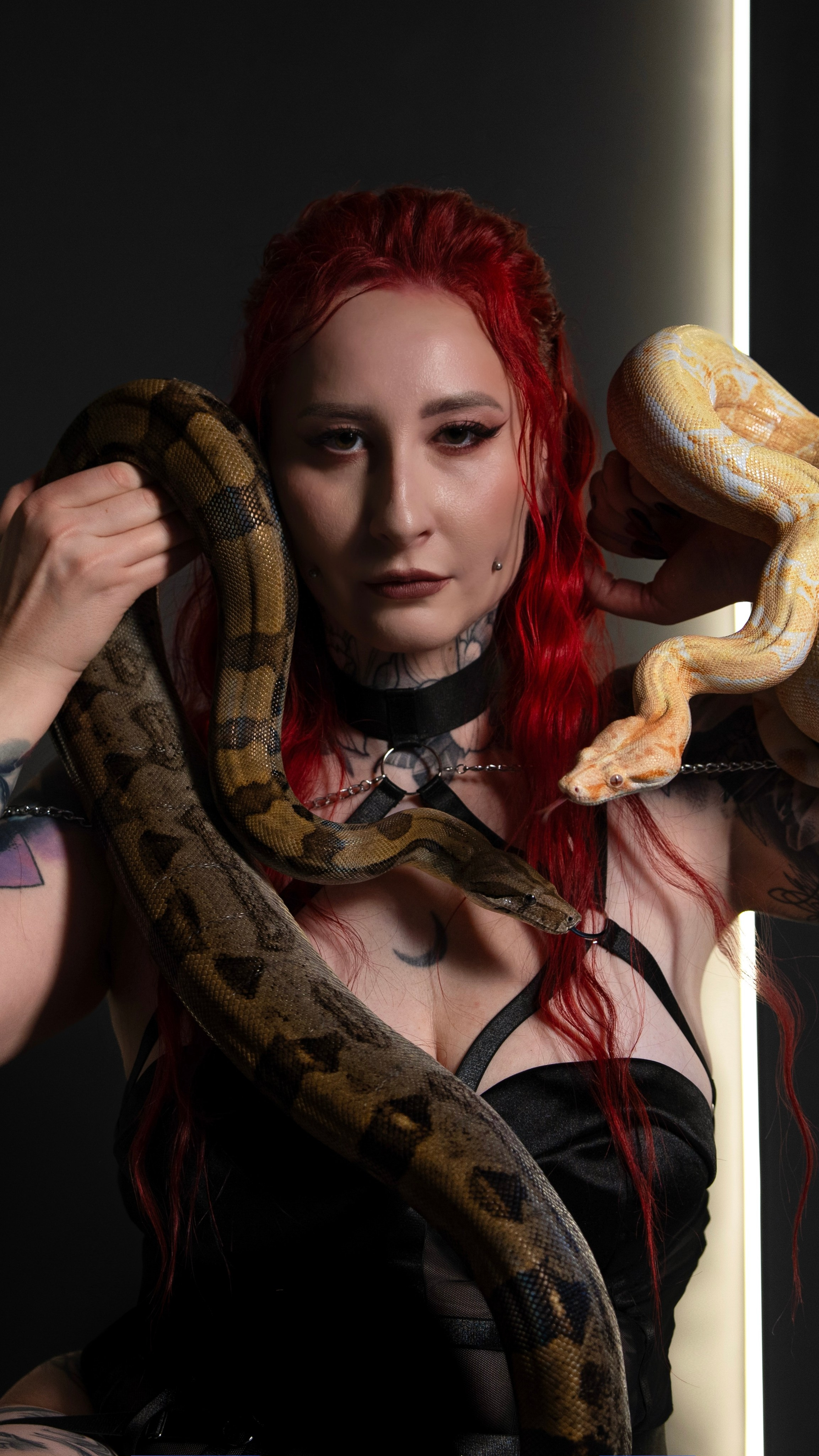 Victoria | Premium collaboration with snakes in a studio in Warsaw. Roman Volkov 🐍 Snake Father Warsaw, Poland