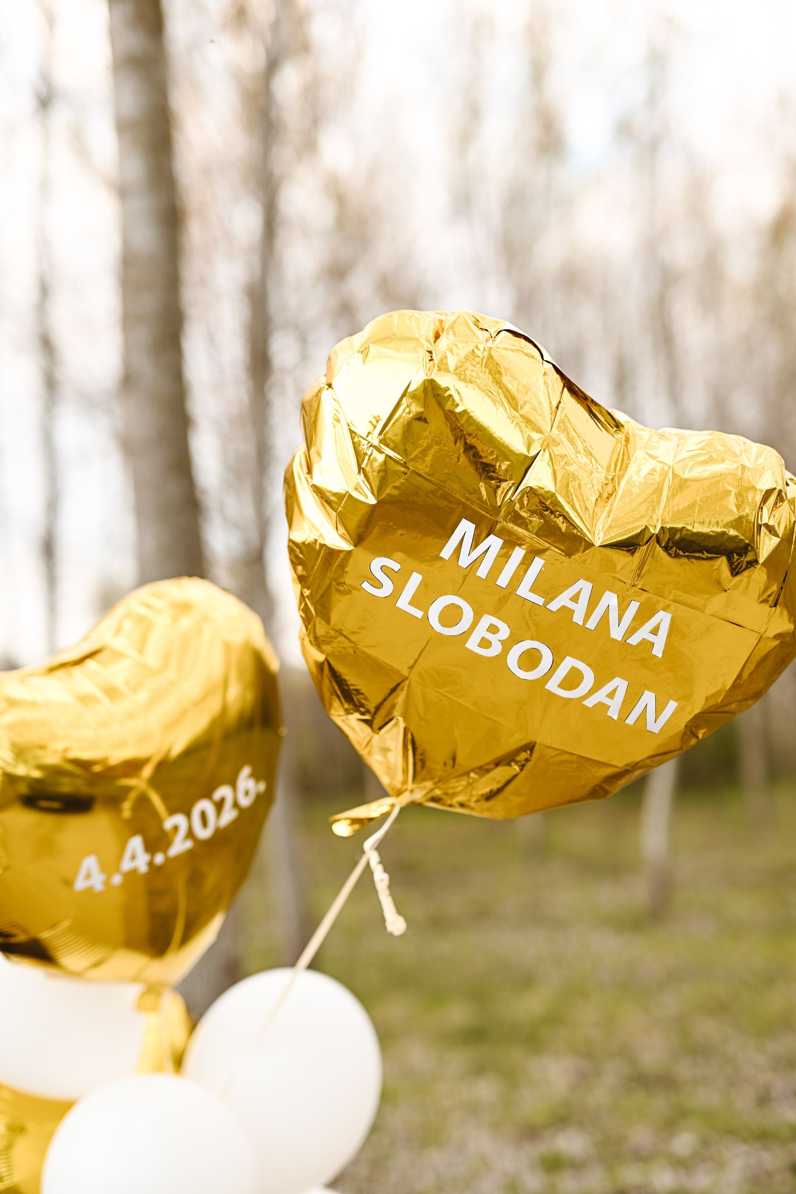 MILANA & SLOBODAN. DIGITALNI STUDIO PAGI FOTO