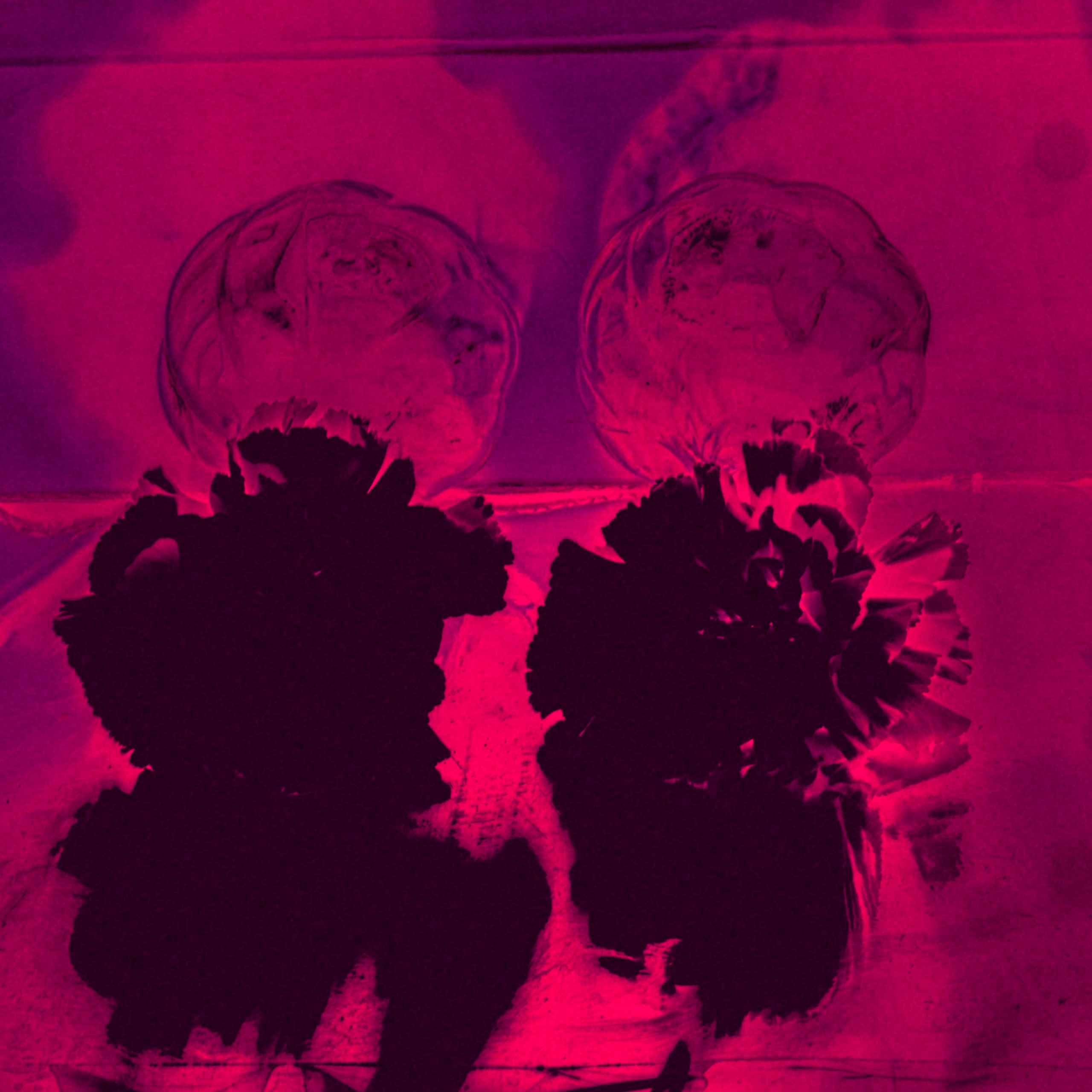 Still life. Ekaterina Tsurkina-Appina Photography Canada