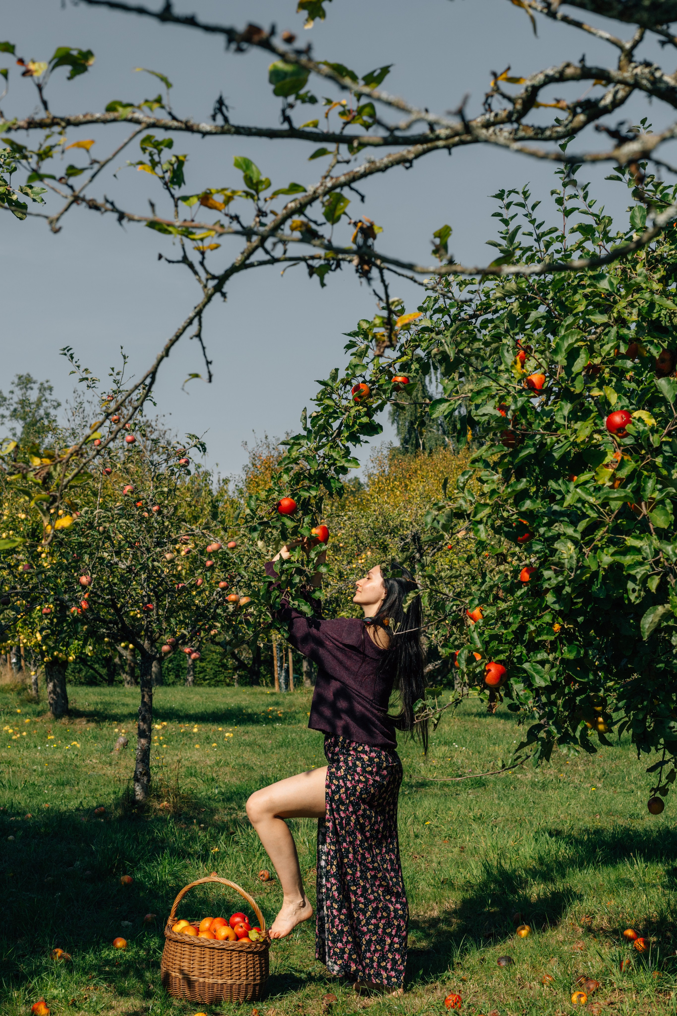 In Garten. PHOTOgrapher Germany MARBURG