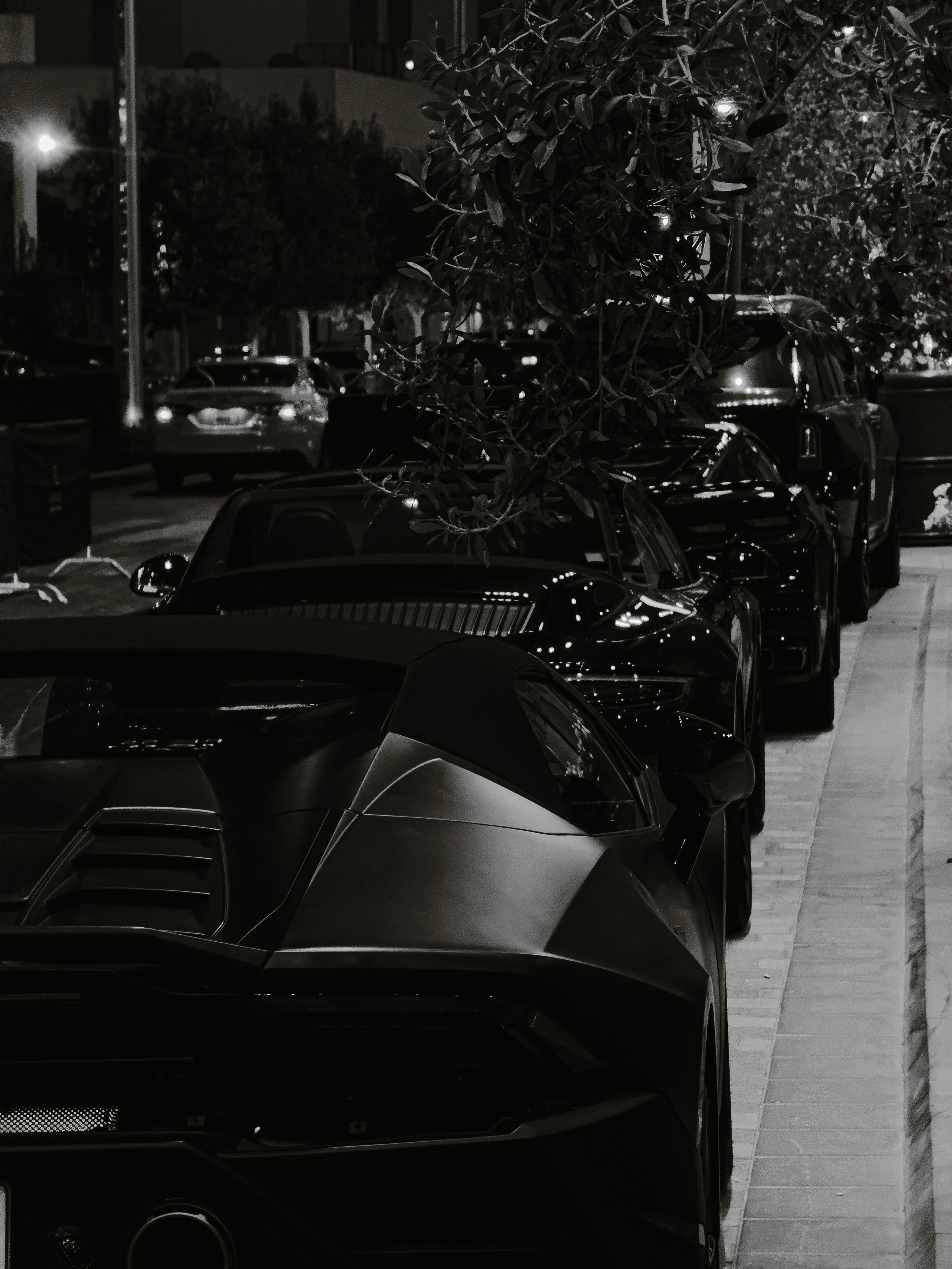 Auto. Julia Erina photographer Dubai