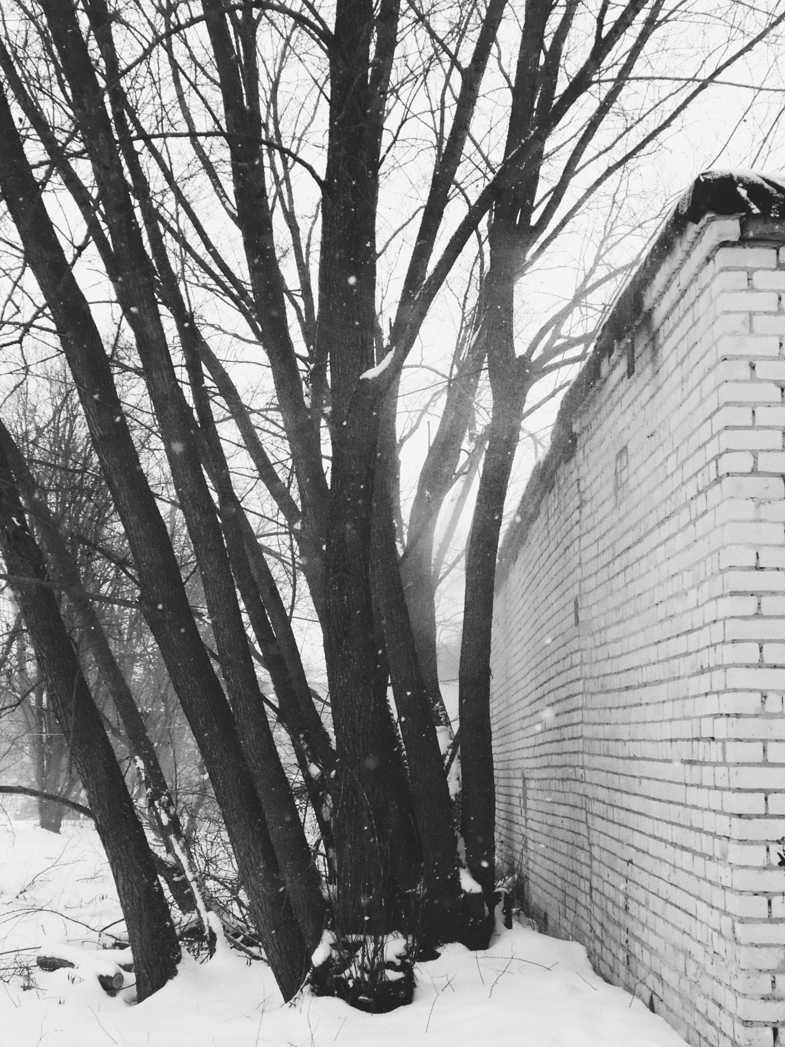 FADE. «Фотохроники»