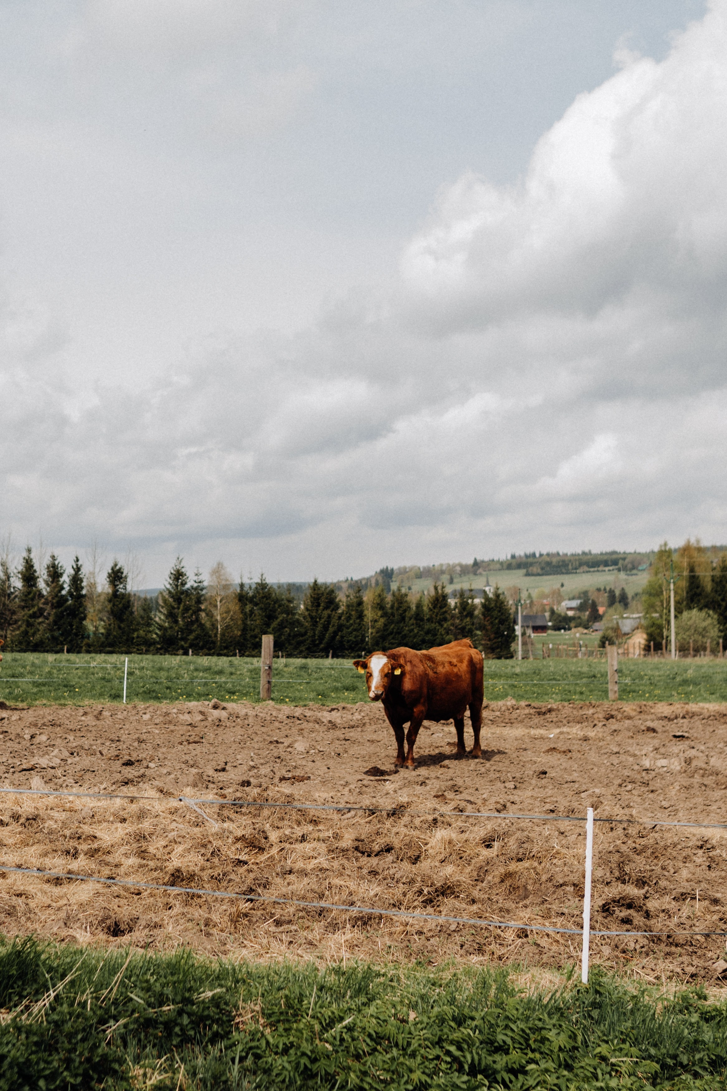 Czech Republic. Фотограф в Праге Анна Лебедева