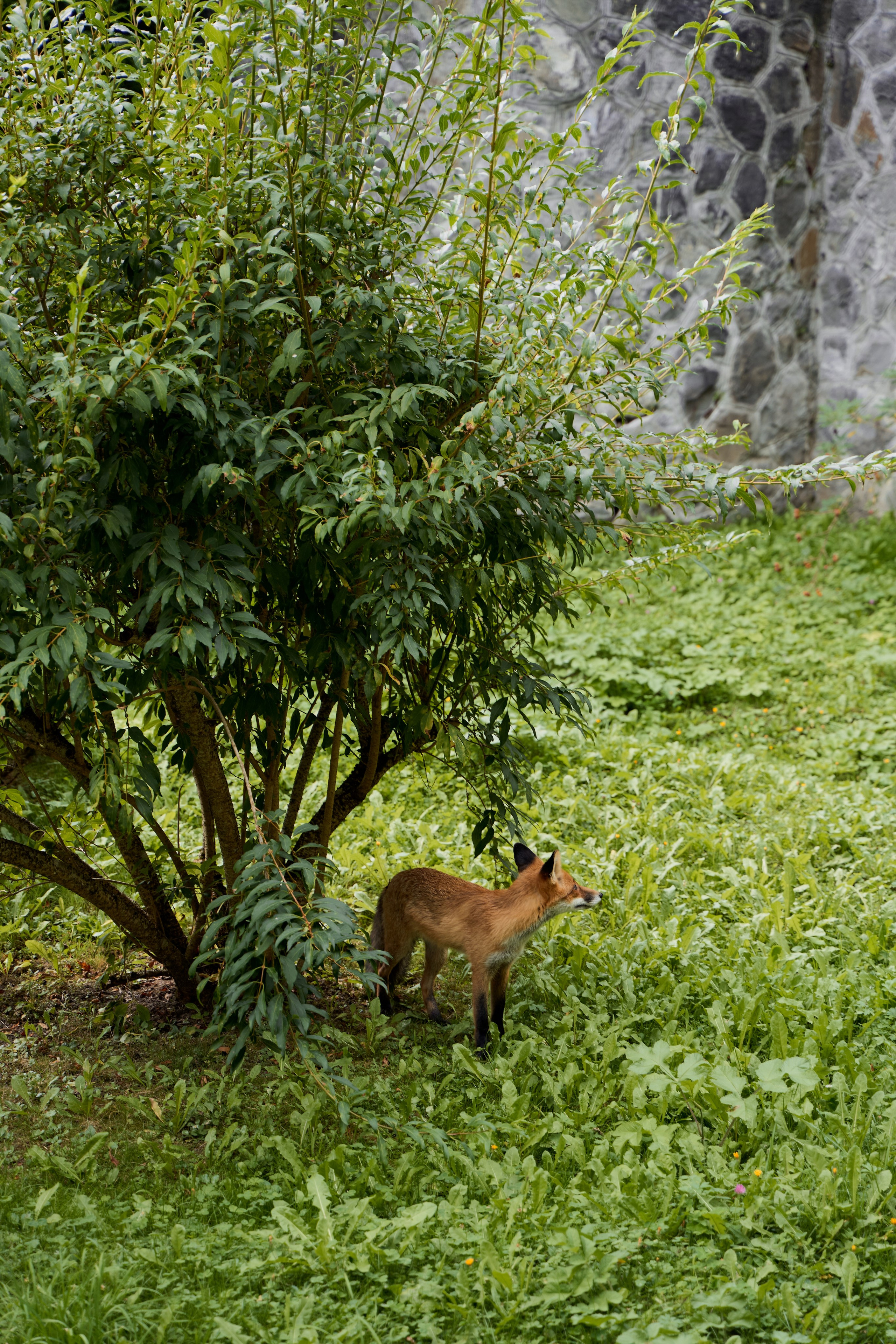 Моими глазами. Salut!