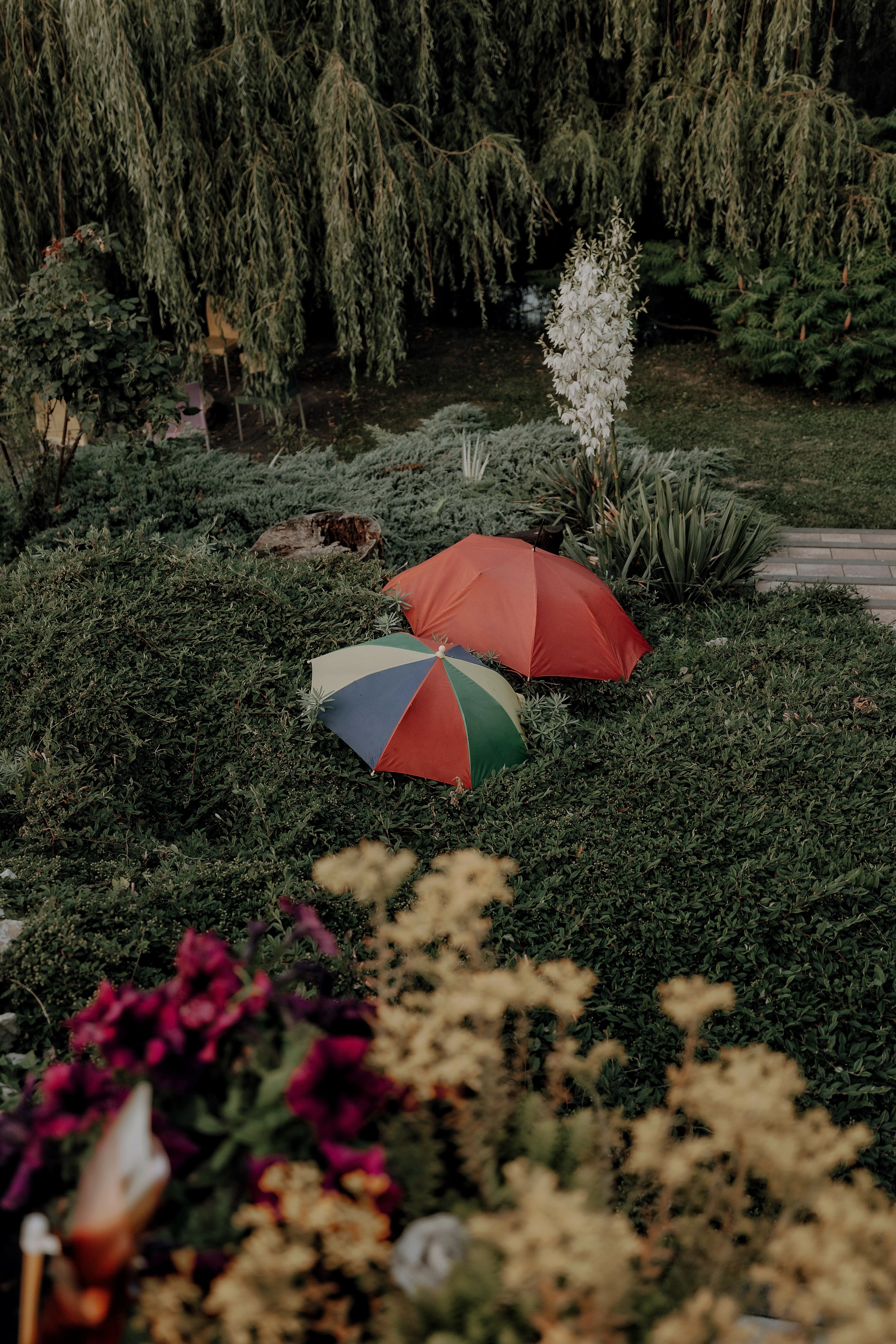 Agropensiunea Colev , locul unde începe evadarea perfectă. Emotions Photo Art