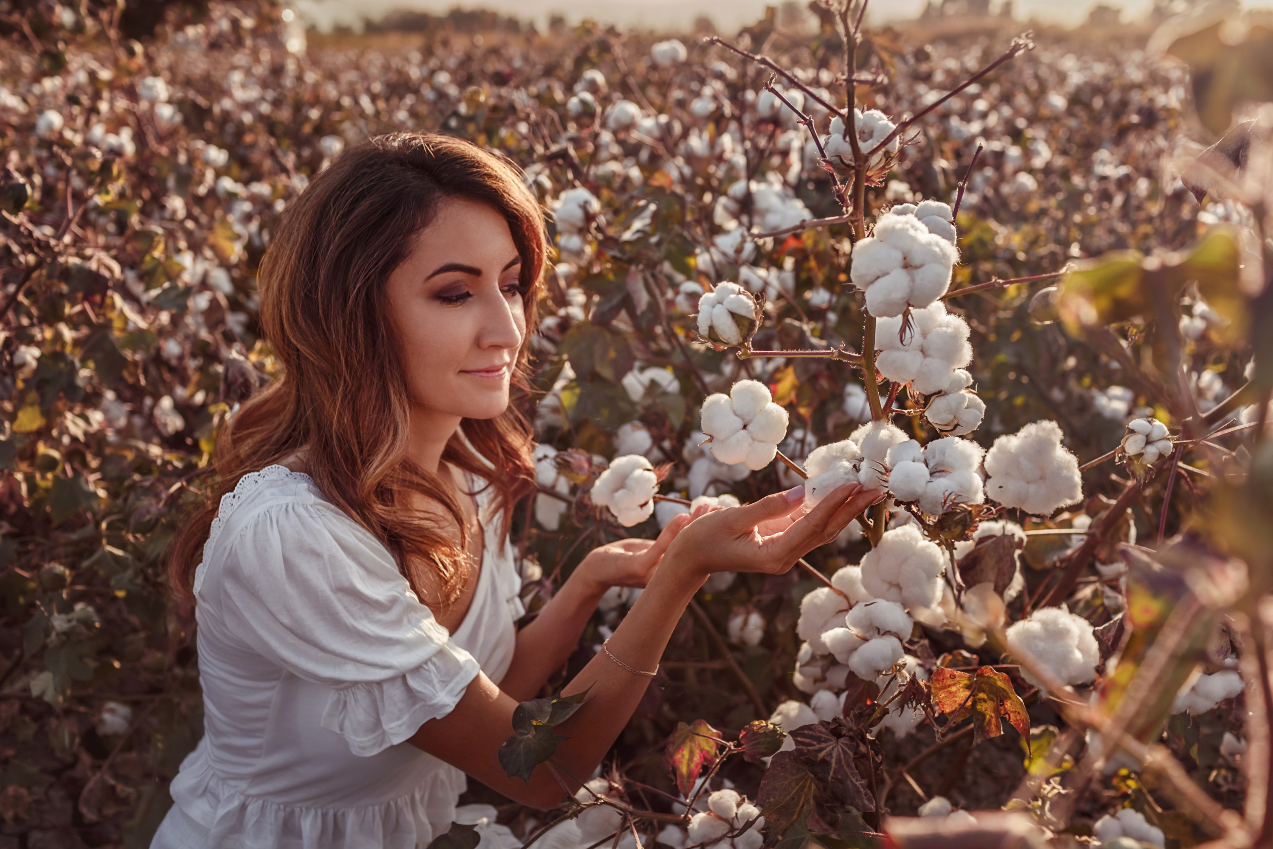 pamuk tarlasında kişisel fotoğraf çekimi