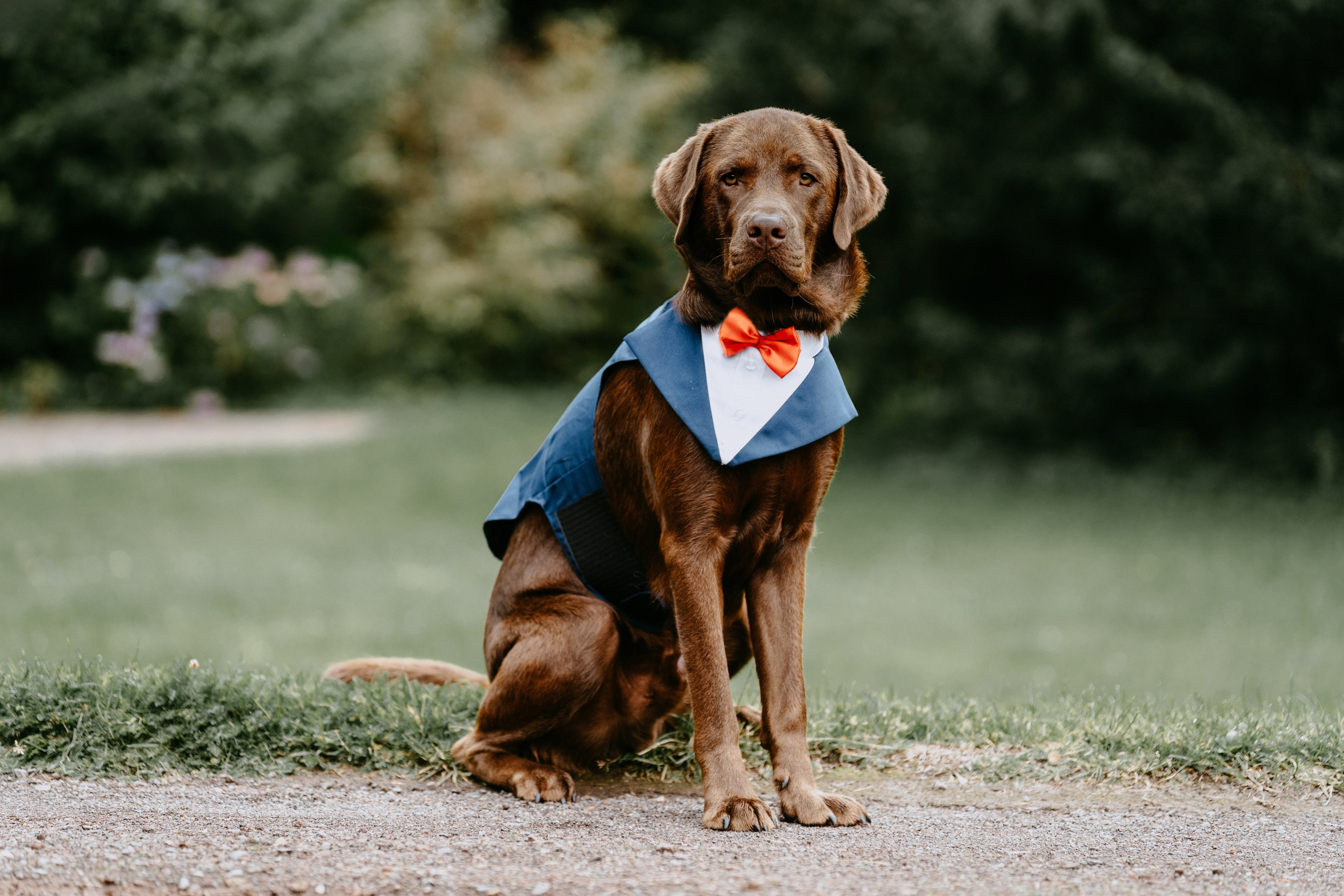 Hochzeitsreportage. Thorben Ihler - Dein Fotograf aus Emden