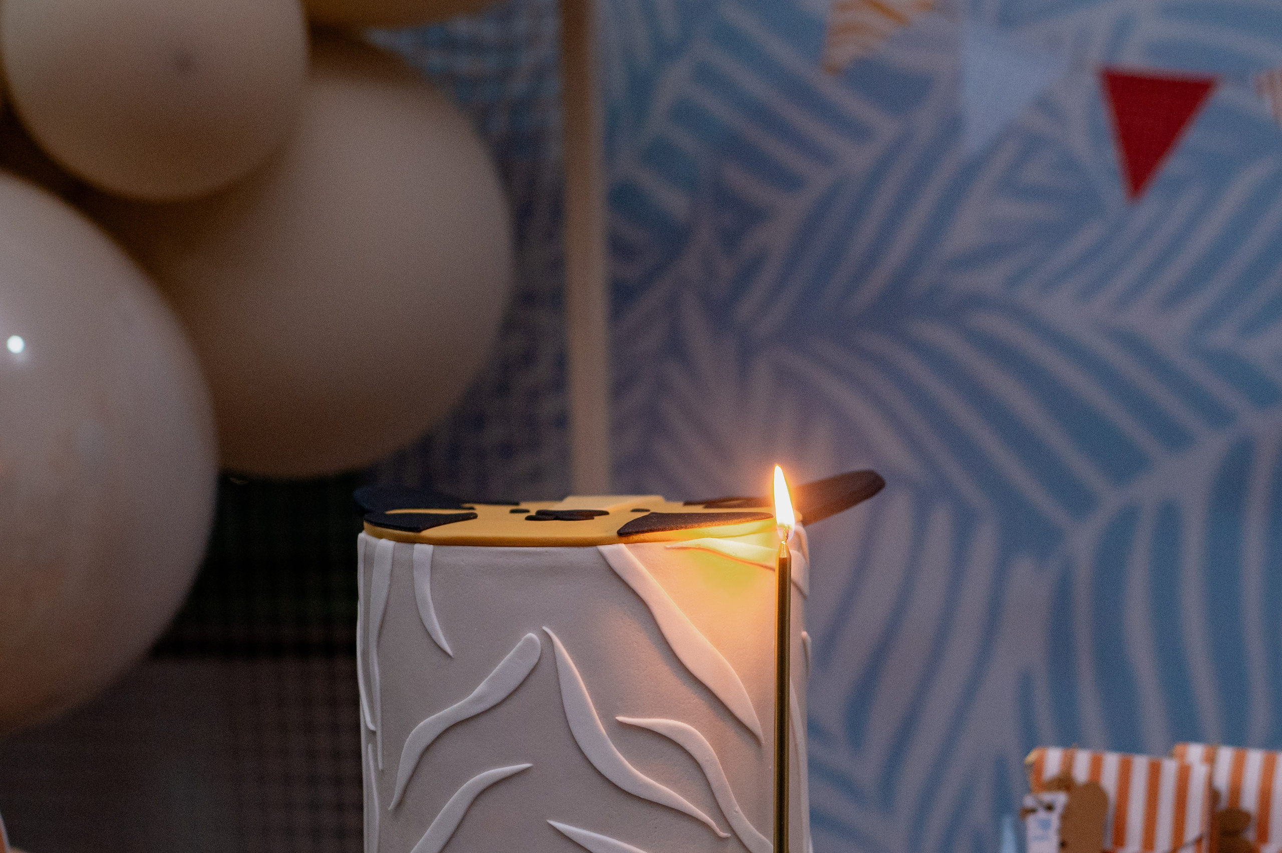 Tito José 1 Ano. Água Carmim Fotografia