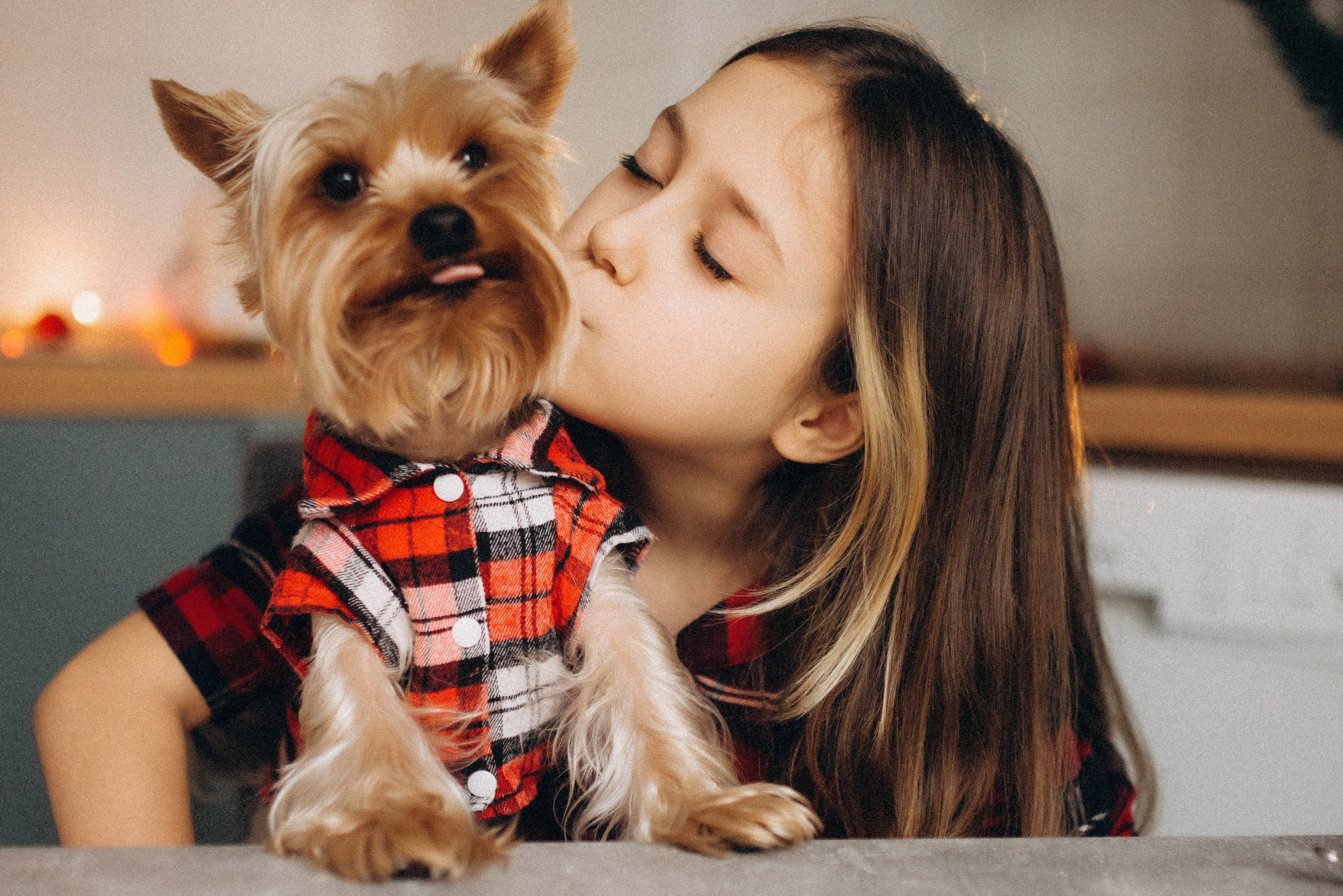 WEINACHTGESHICHTE. Семейный фотограф Лейпциг, Германия