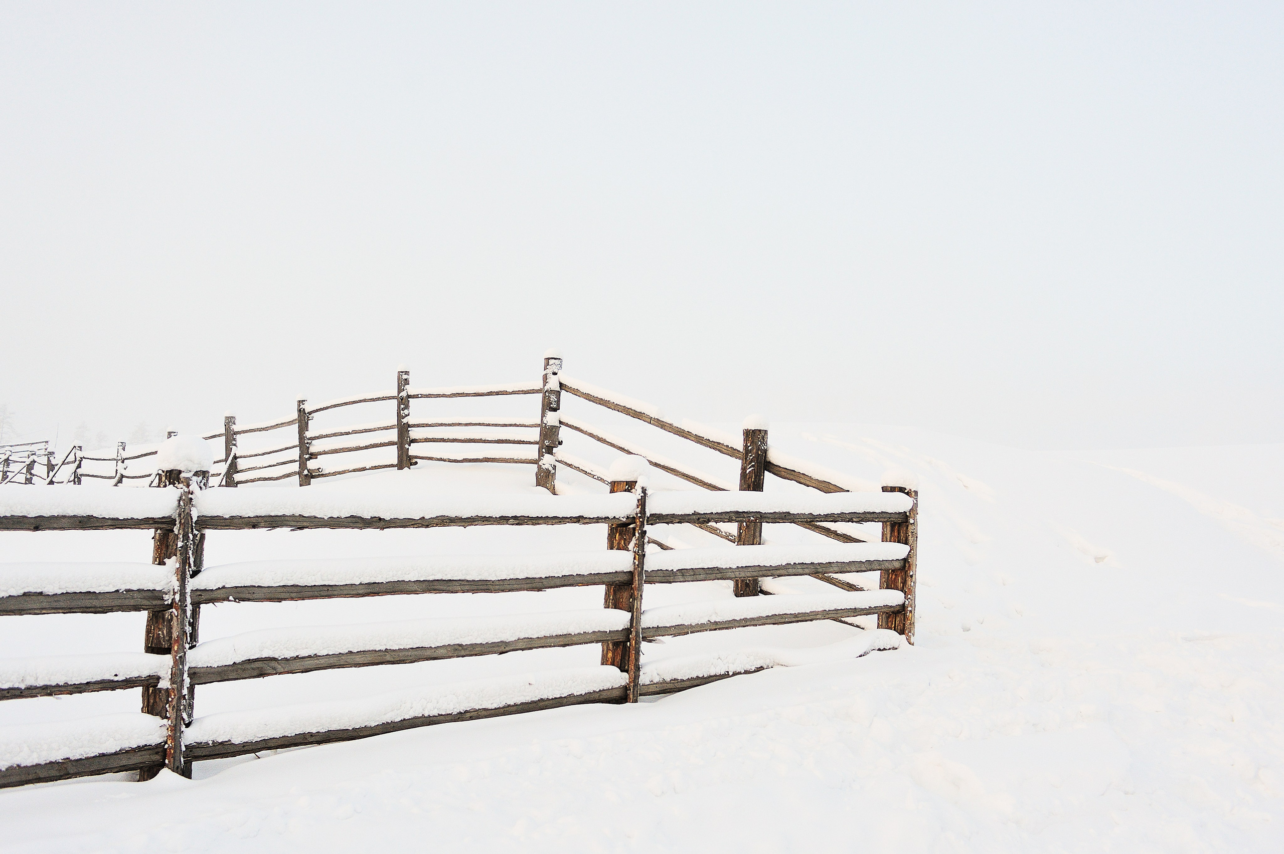 La meilleure saison. Ayar Kuo