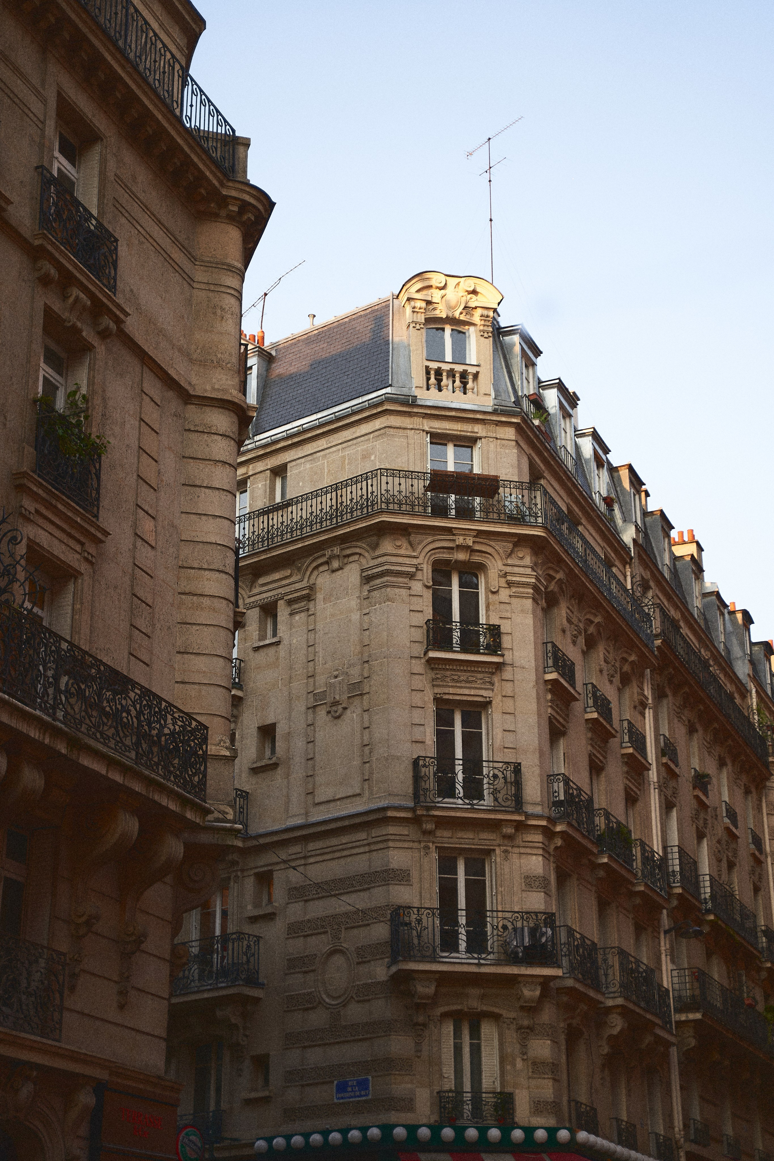 France. Denshyr — Visual Artist