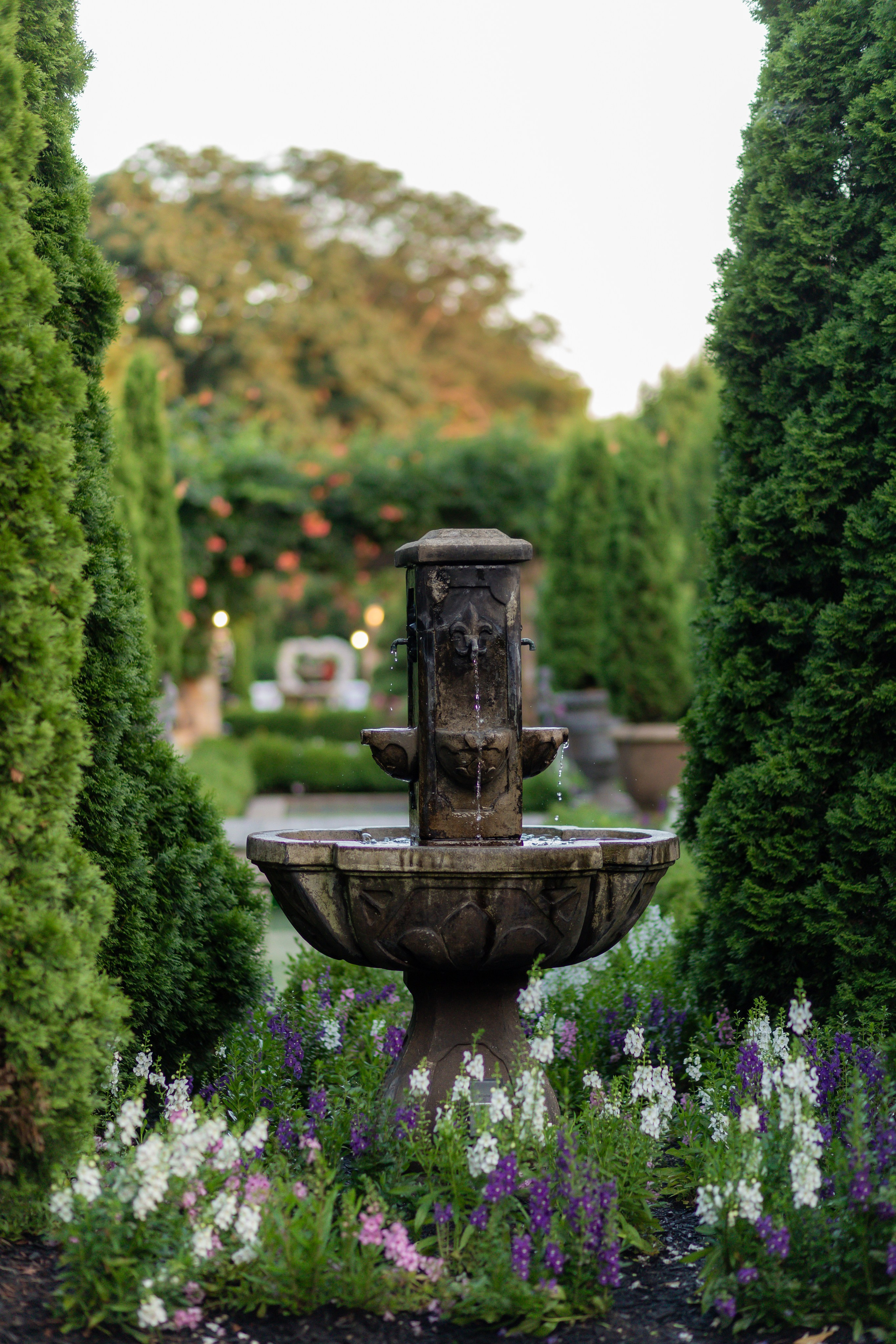 Alexa & Darren. Wedding Photo & Video