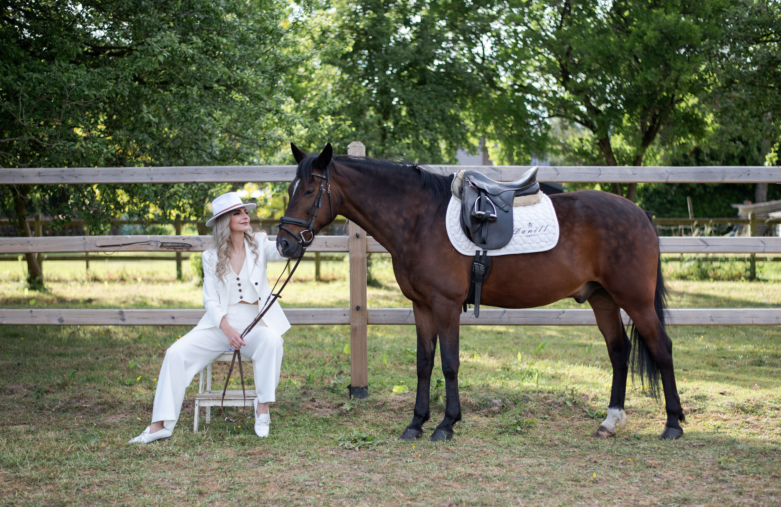 Photoshoot with Horses. Professional Photograher, Antwerpen/Belgium
