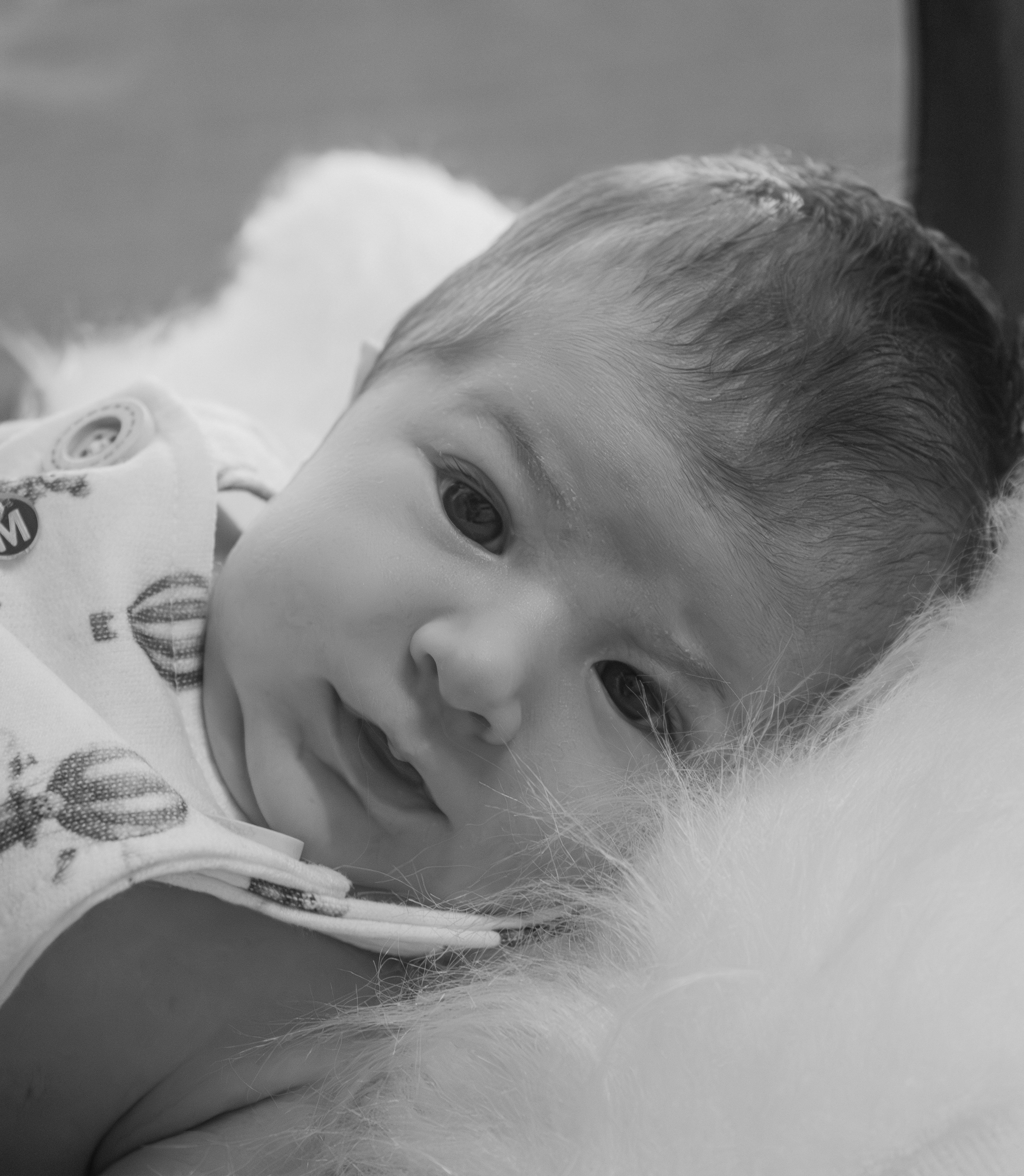 Ensaio Newborn em Sombrio. Fotografia de Recém-Nascido. Oukla Estúdio