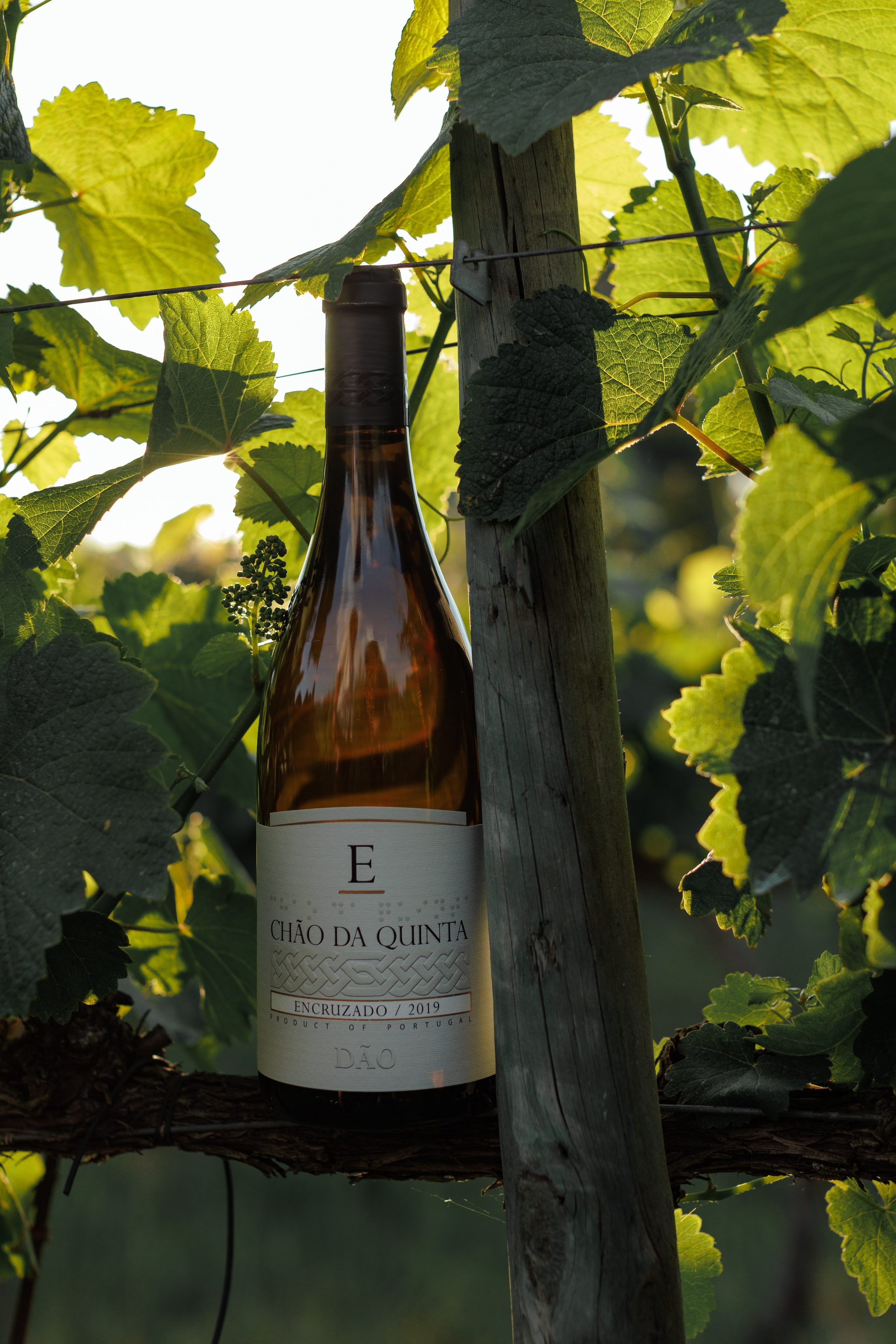 QUINTA CHÃO DE SÃO FRANCISCO. ESTUDIO DOZE