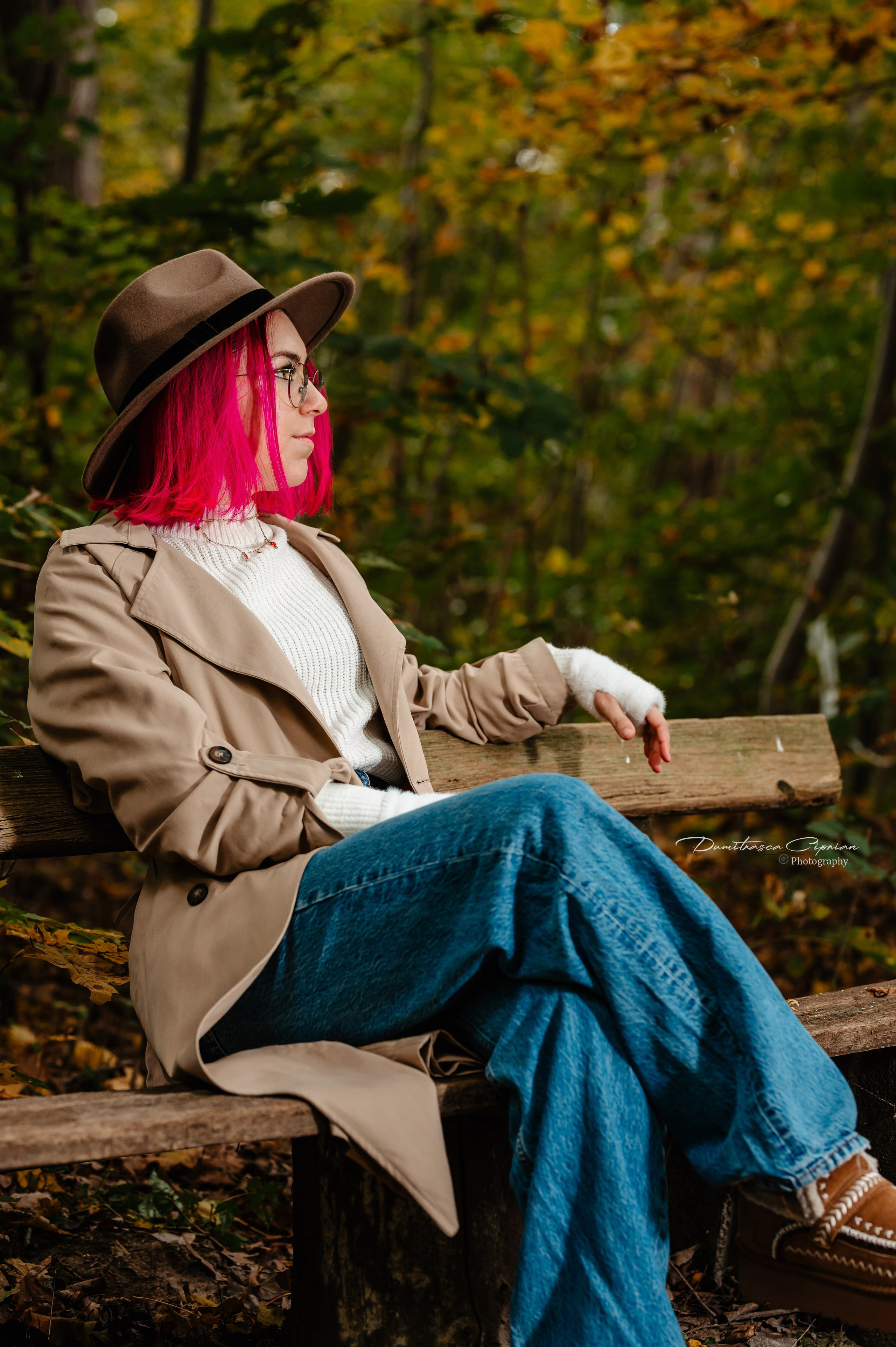 Fall in Light. Dumitrasca Ciprian Photography