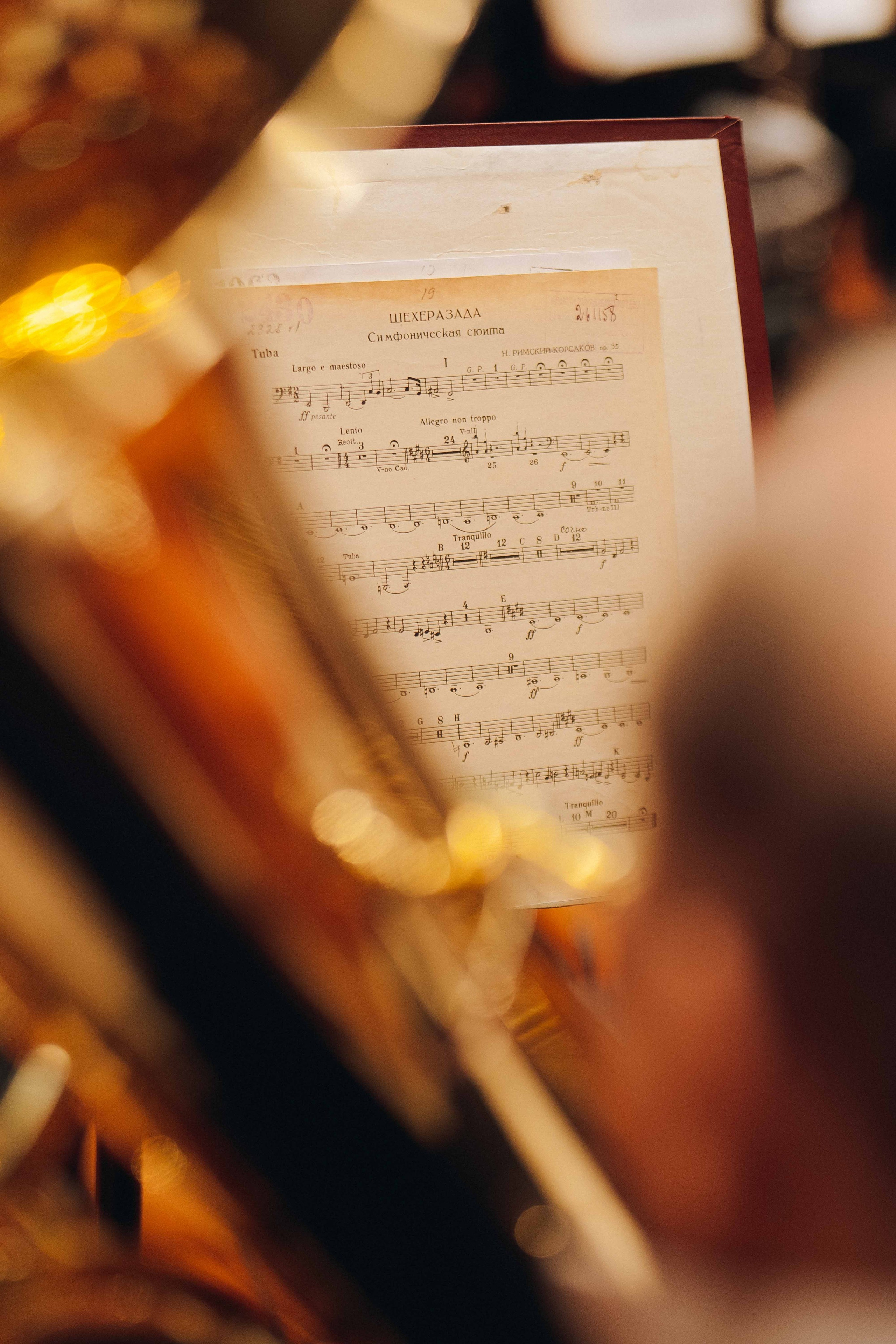 The Tchaikovsky Academic Grand Symphony Orchestra in Istanbul. Wedding&Event photographer Ismail Rzayev in Baku