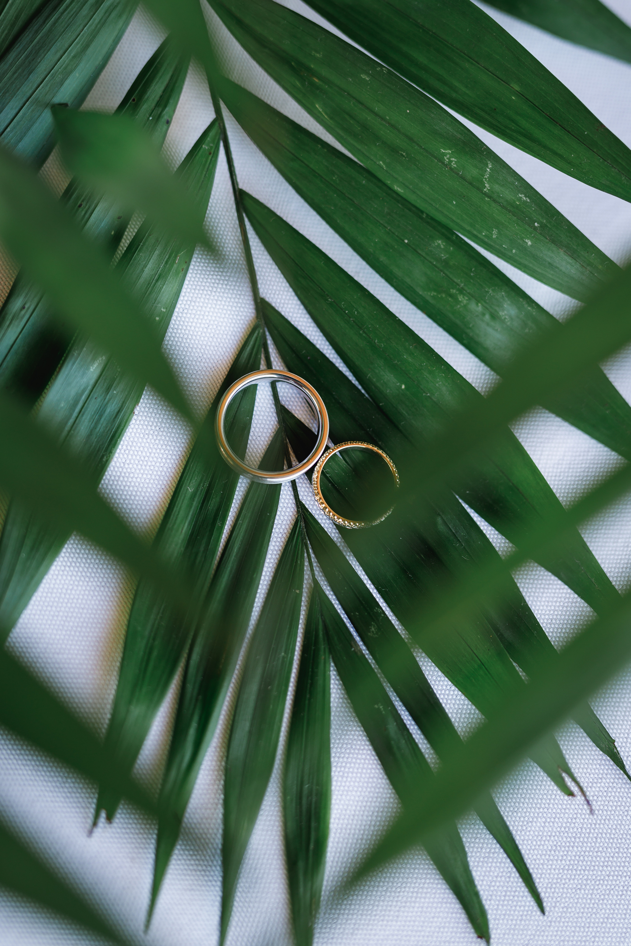 Mario Gi Photography. Mario Gi — Photographe de mariage