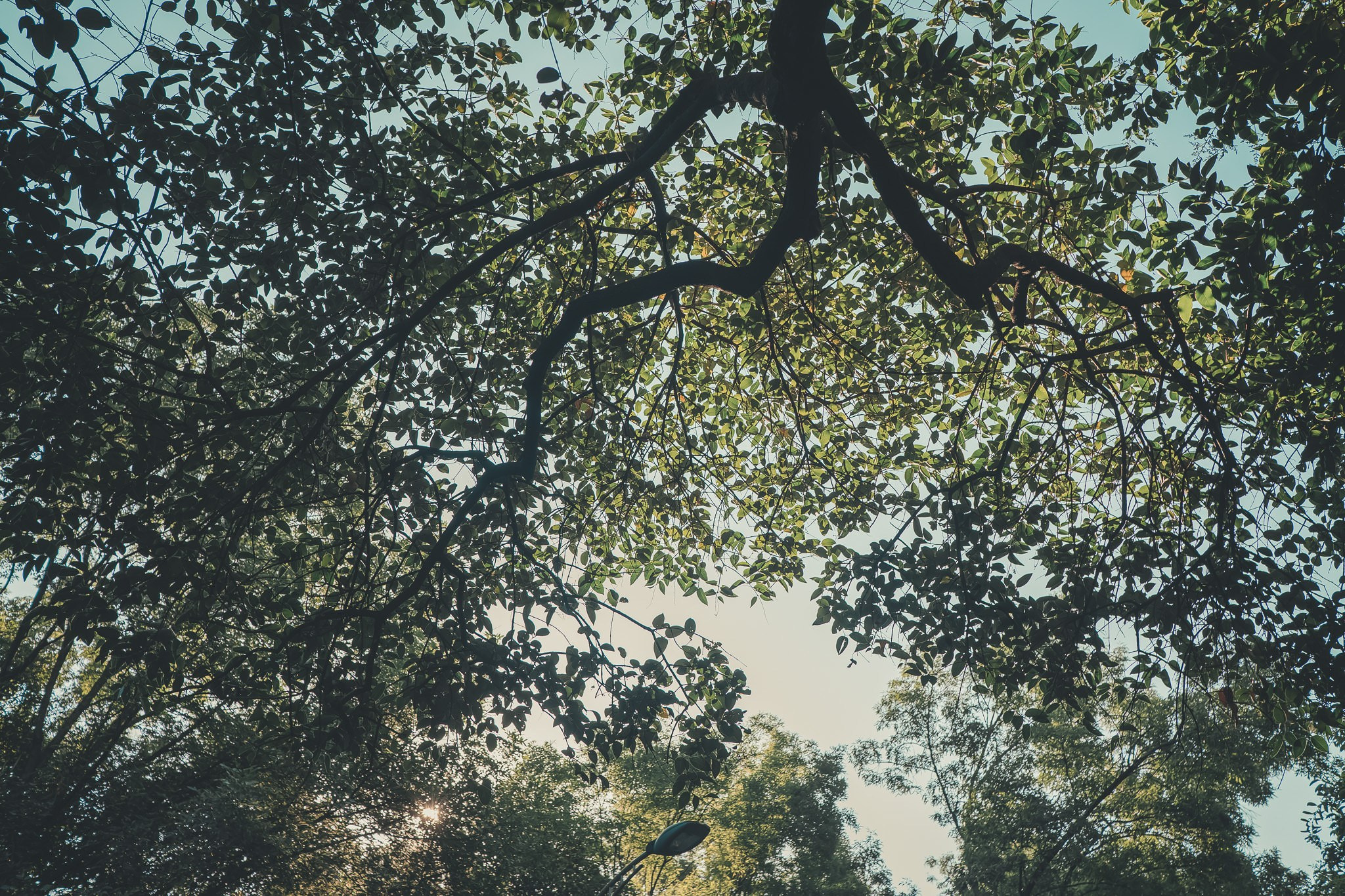 Alejandro. Wedding and family photographer in Mexico City
