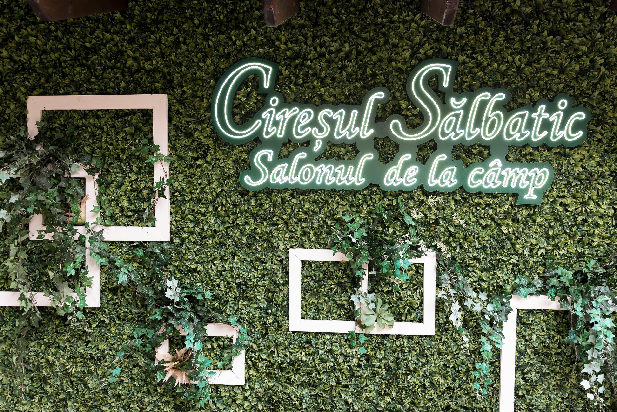 Fotografii Nunta + Botez Ciresul Salbatic. MDimaFotoStudio. Fotograf de nuntă, evenimente private și de familie