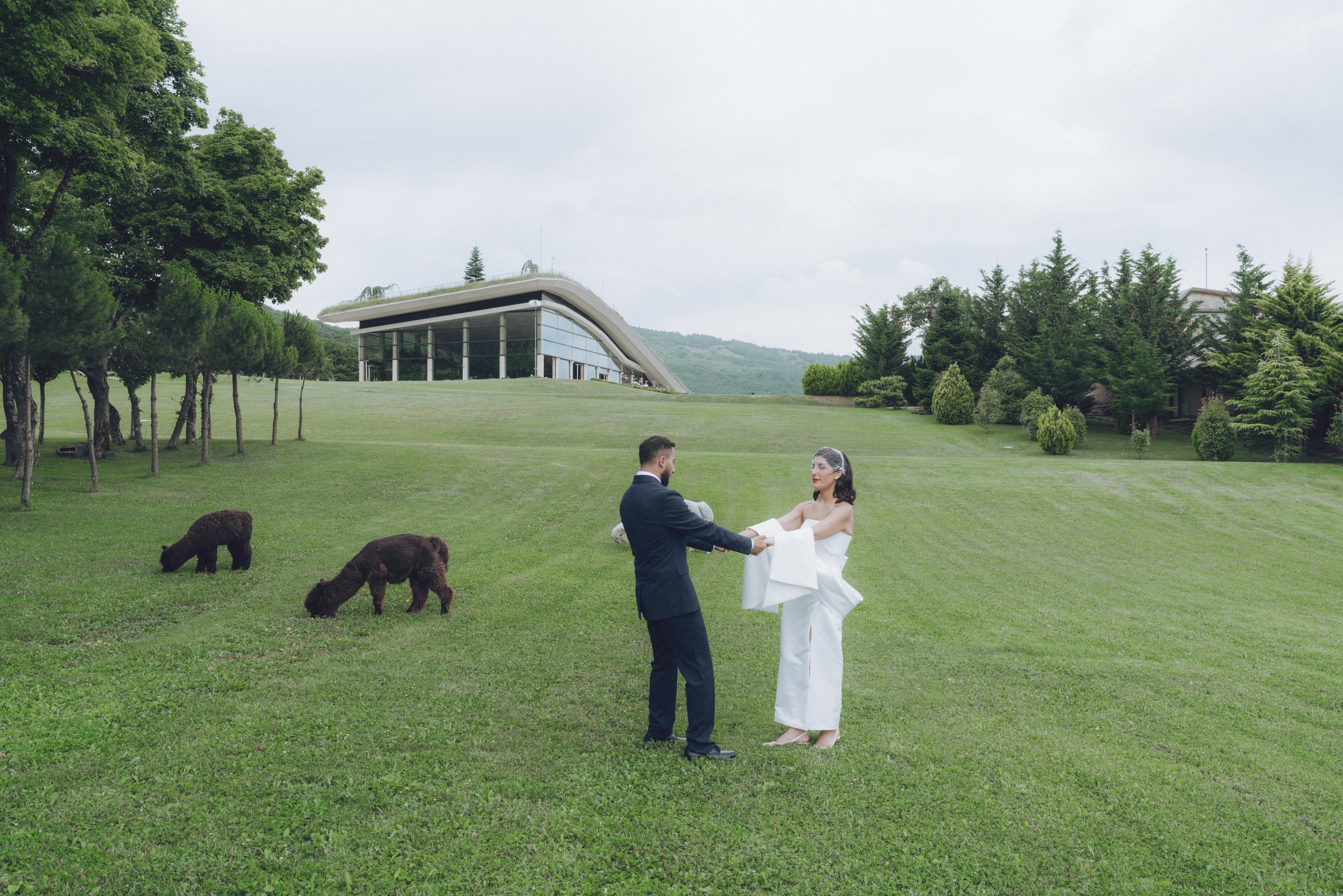 Wedding Bioli. Create your own history with Pierre Studio