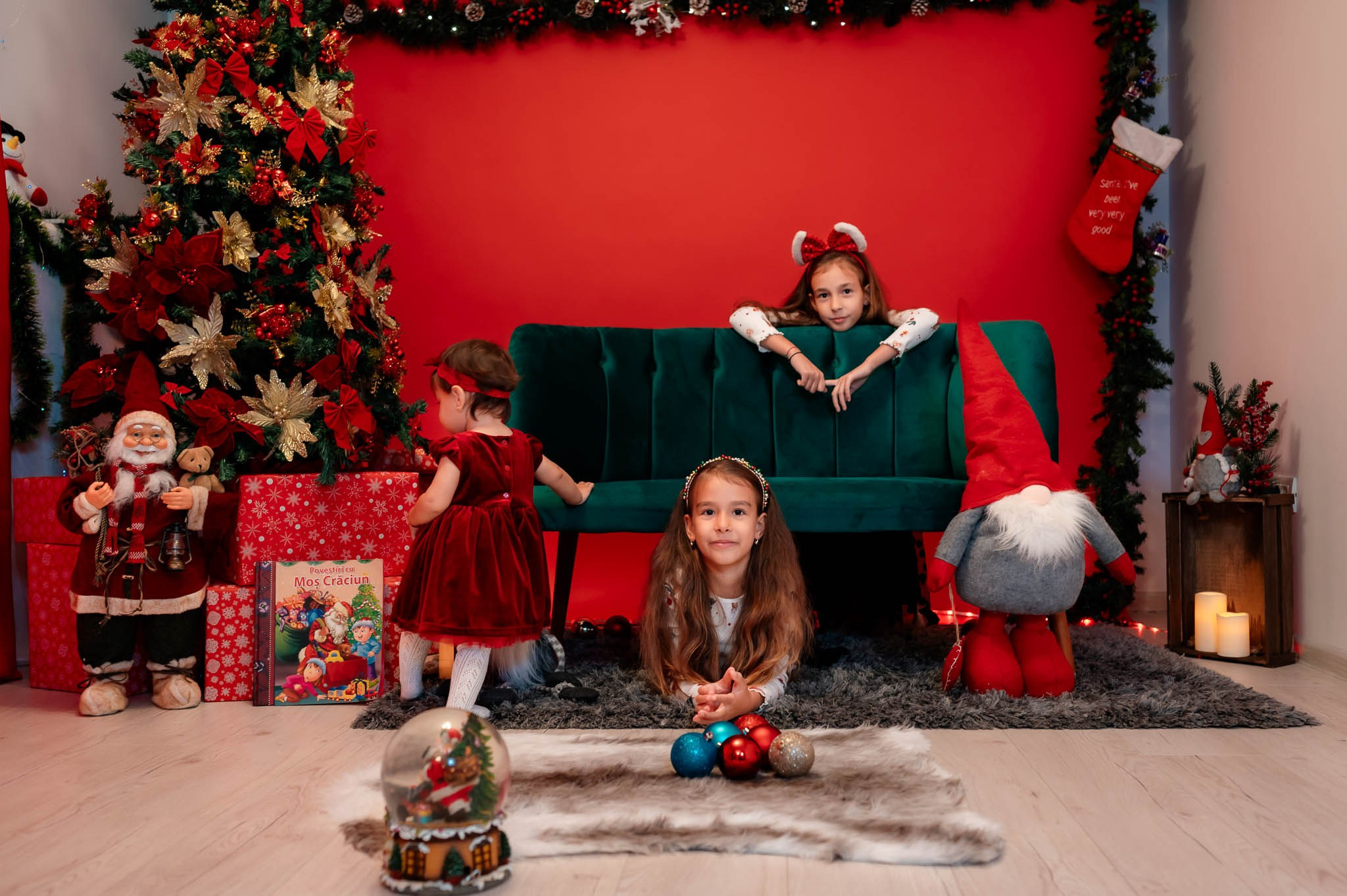 Sedinta Craciun Alina