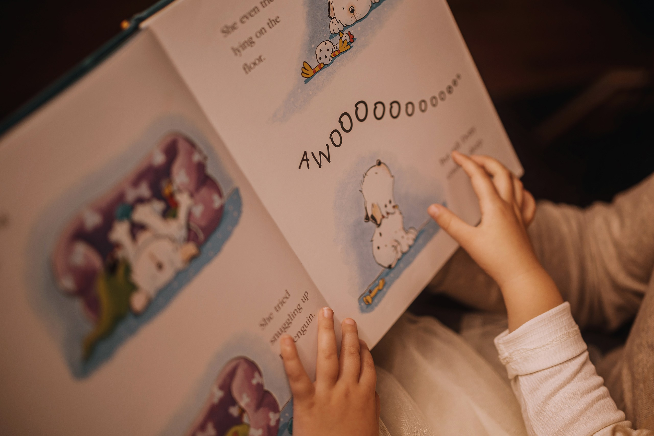 25.11.2023 Christmas Photoshoot. Wedding family event photographer in Chicago Nick Yushevich