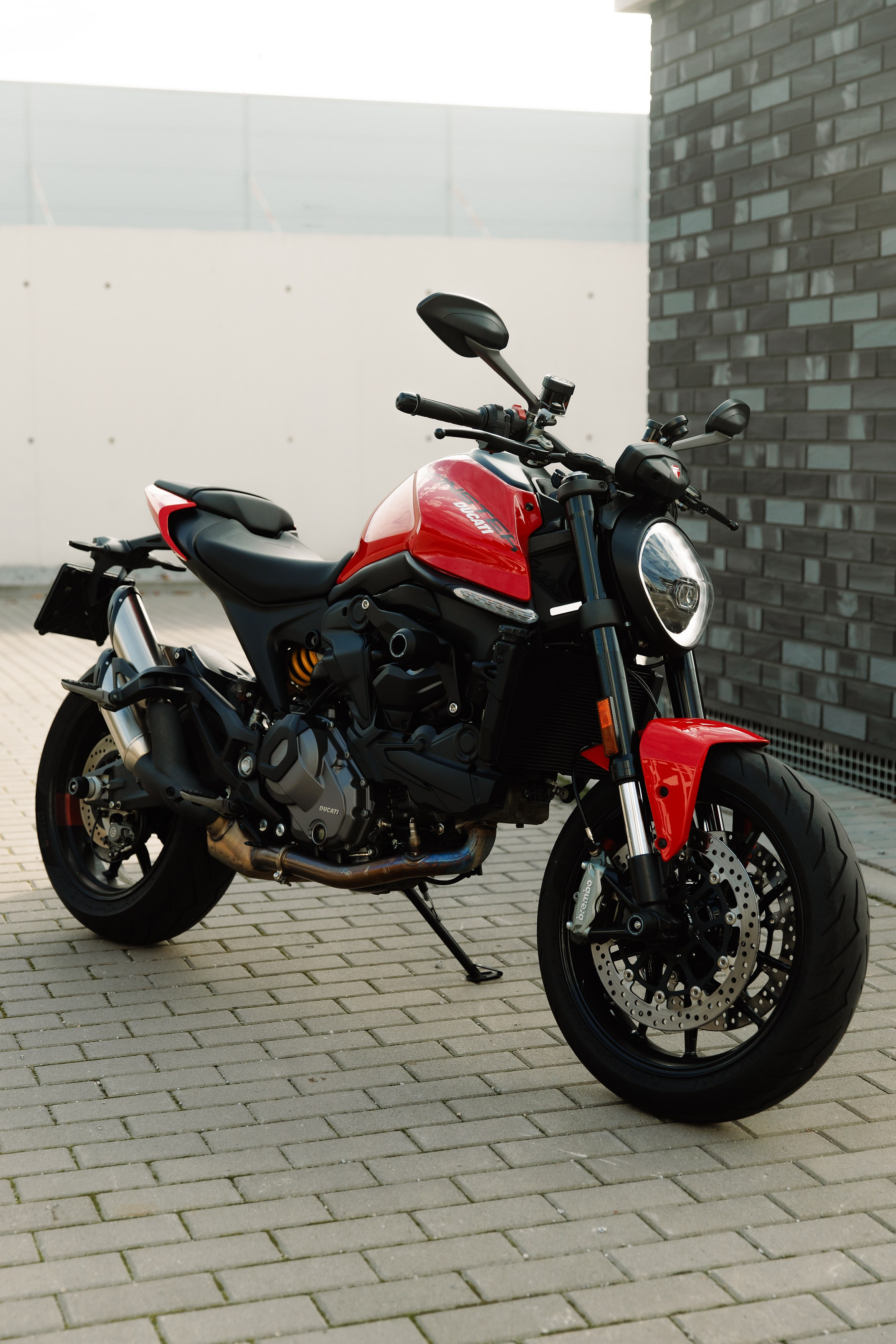 Alex. Kaja | fotograf psów we Wrocławiu