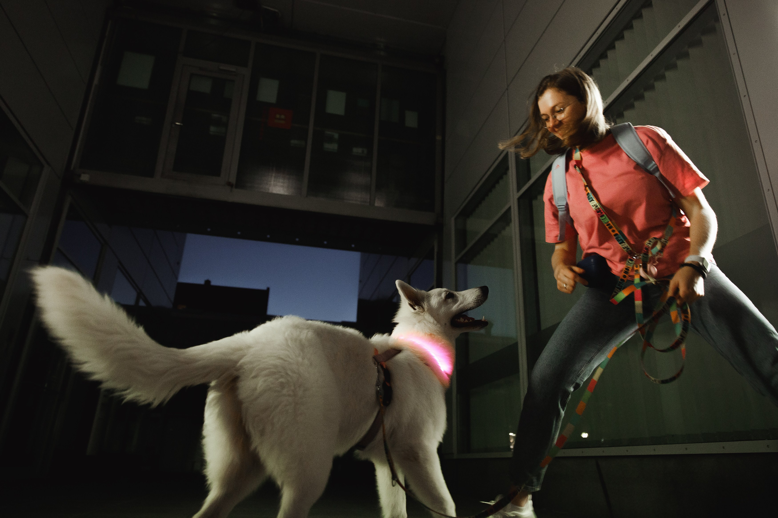 Astra in Leipzig. Kaja | fotograf we Wrocławiu | ludzie i psy