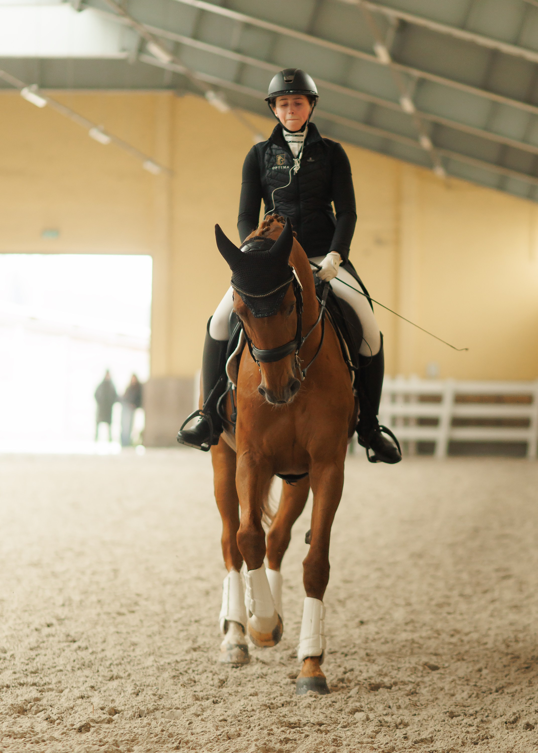 Fotografia koni Wrocław \ ujeżdżenie, Partynice. Kaja | fotograf we Wrocławiu | ludzie i psy