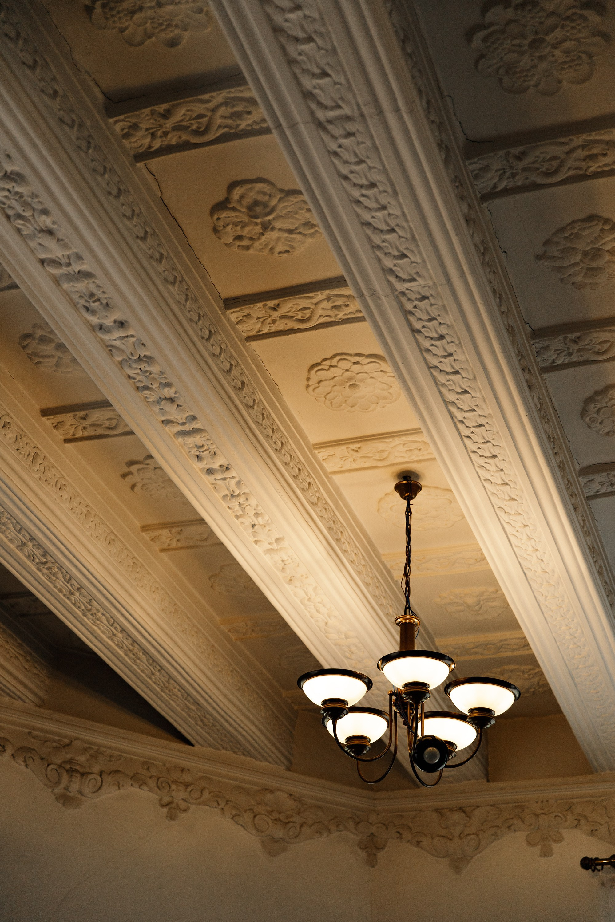 Oleśnica castle. Kaja | fotograf psów we Wrocławiu