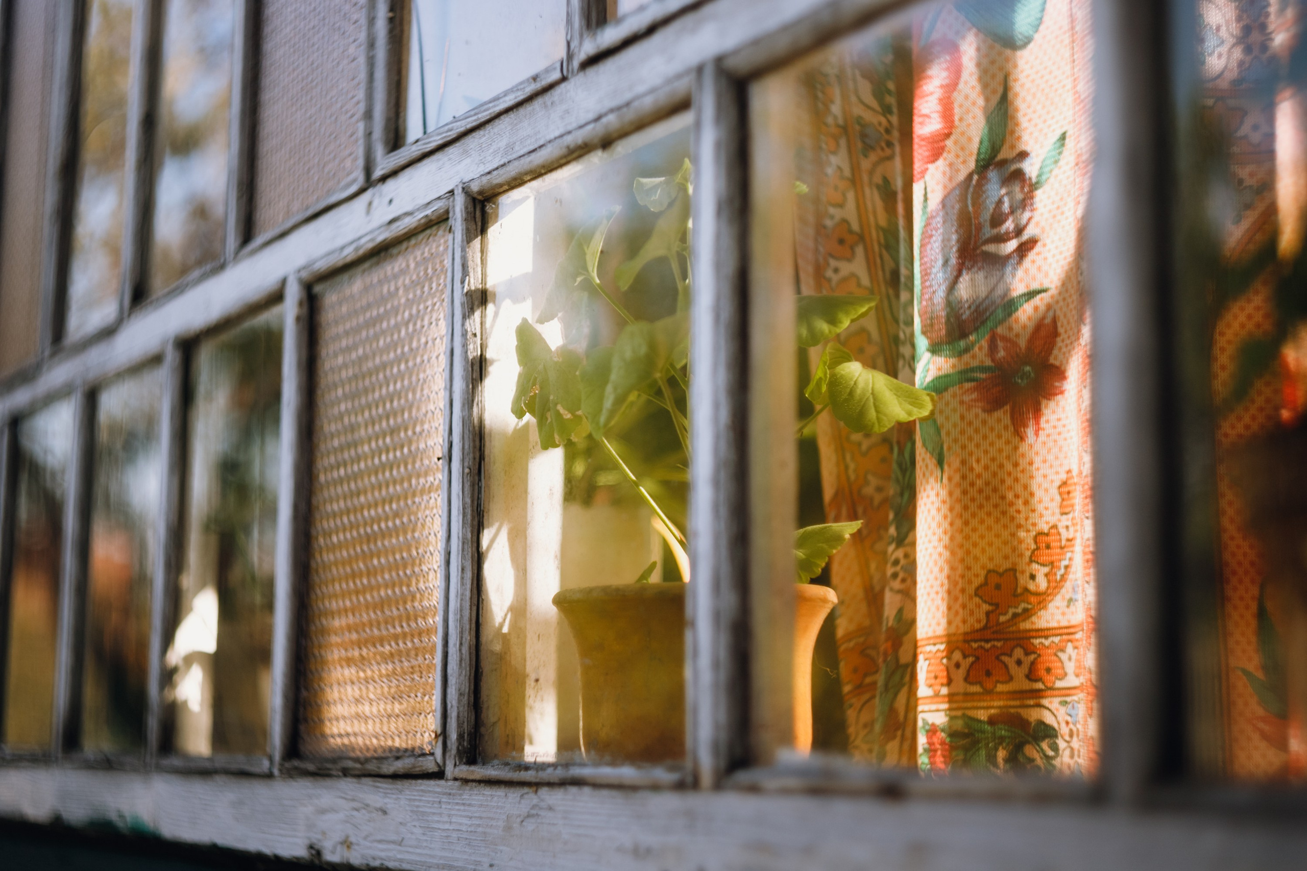 Grandmother's home in Brest. Kaja | fotograf we Wrocławiu | ludzie i psy