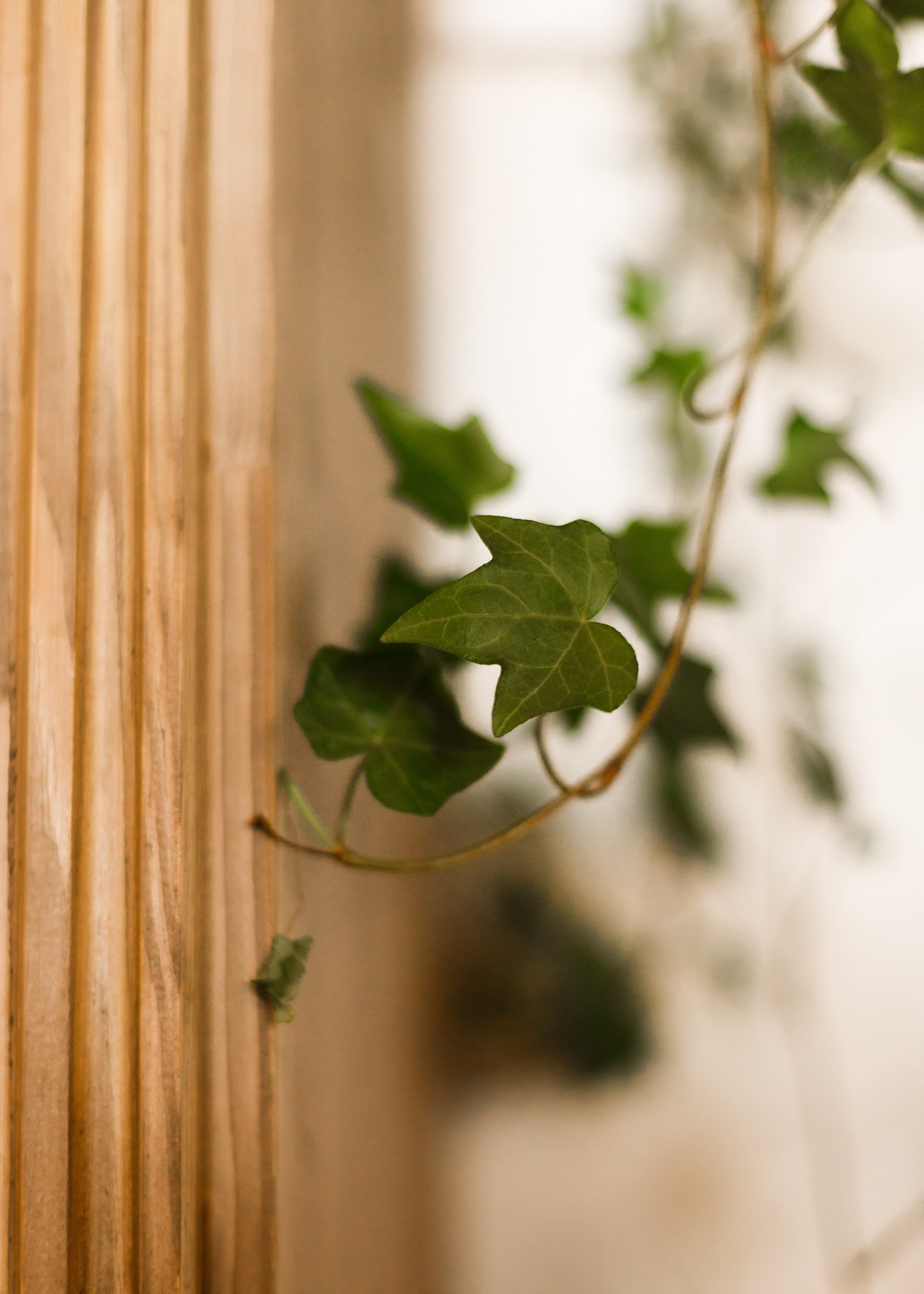 Psychologist blog content. Kaja | fotograf we Wrocławiu | ludzie i psy