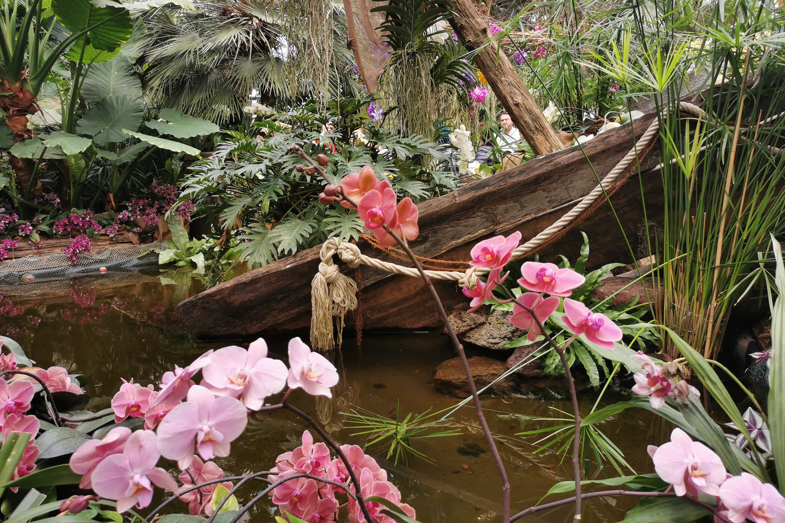 Майнау — остров цветов. Elina Reisen. Туристическое агентство в Аугсбурге