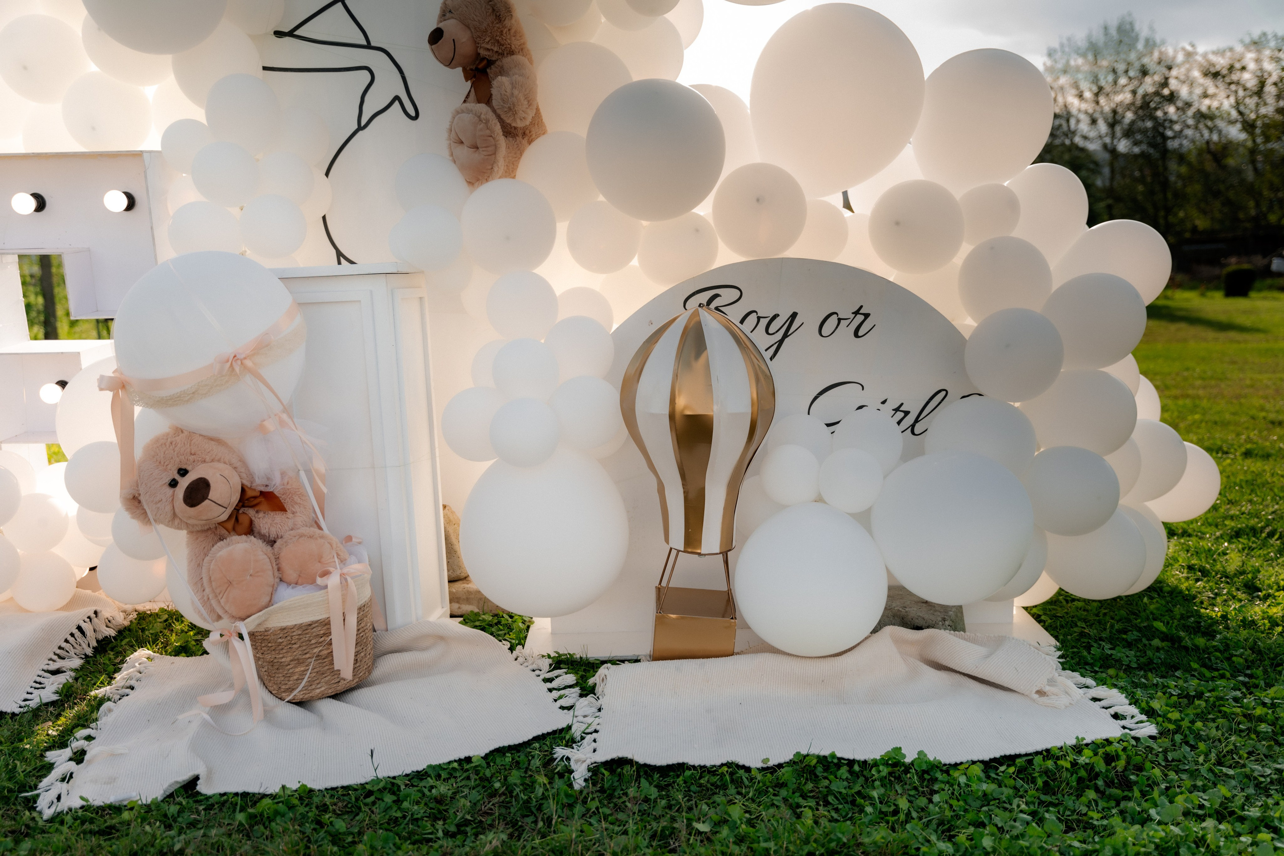 Gender Reveal. Dragosbaciuartphotographer