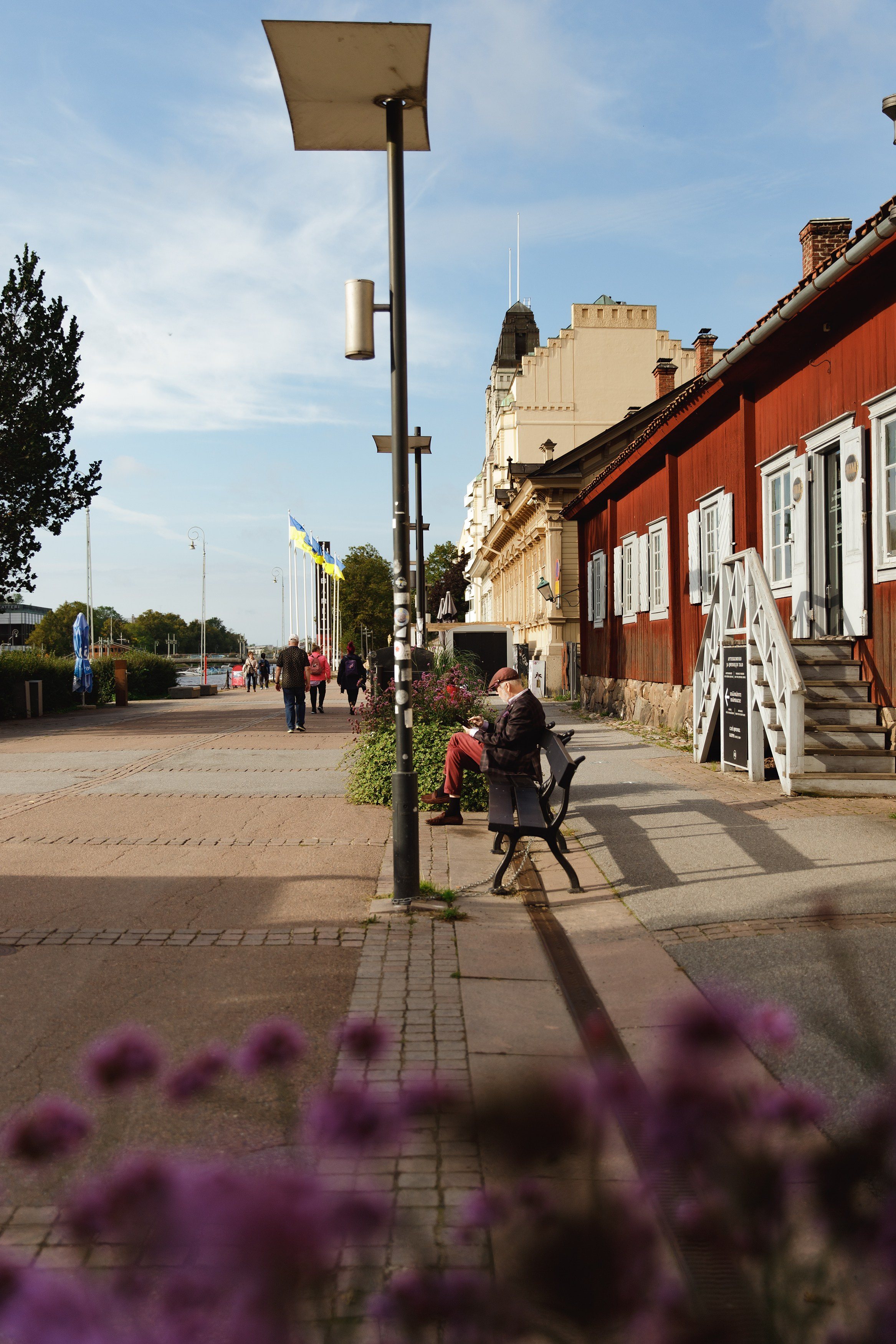 Turku. Kaja | fotograf psów we Wrocławiu