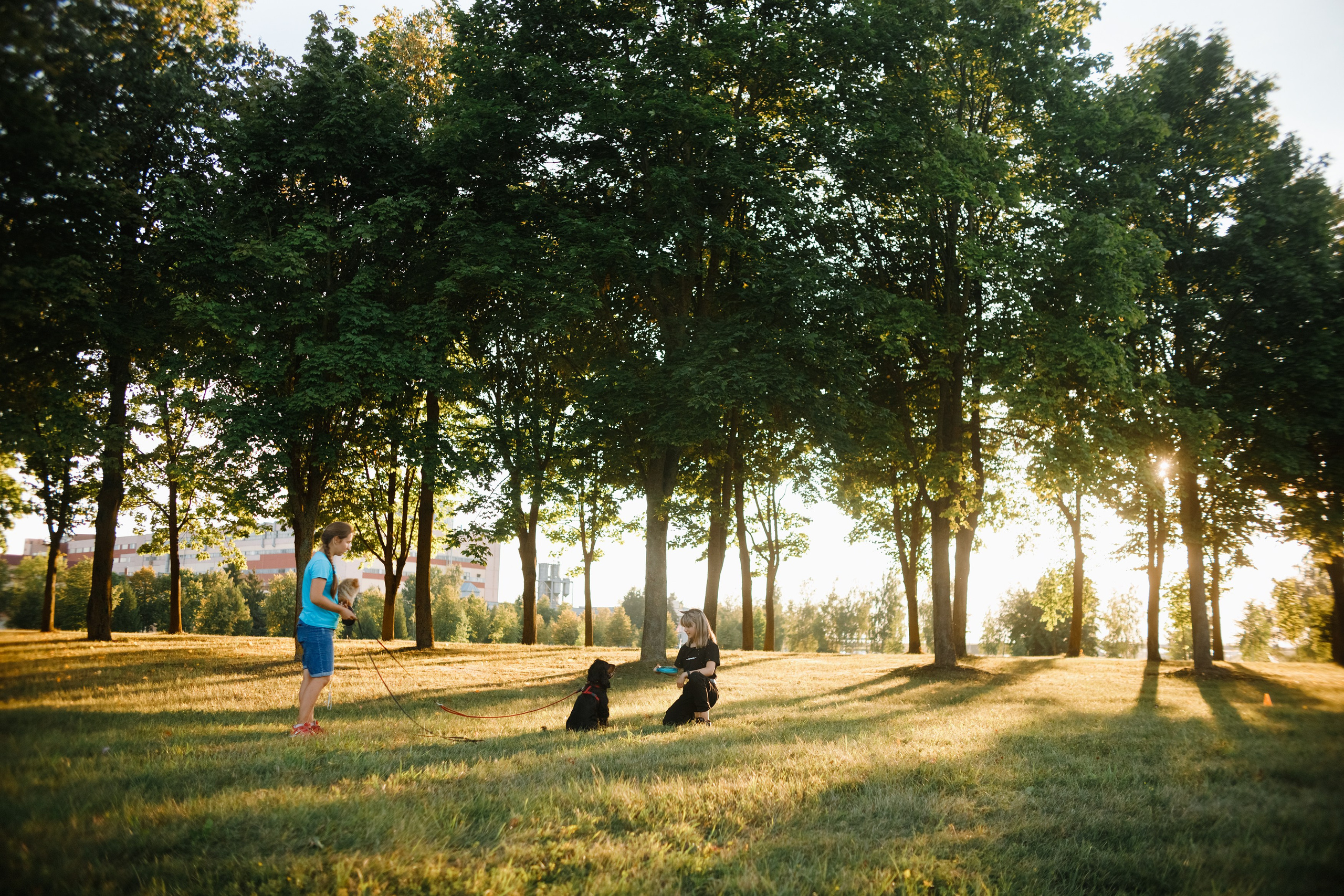 Frisbee workshop of Darya Lukina. Kaja | fotograf we Wrocławiu | ludzie i psy