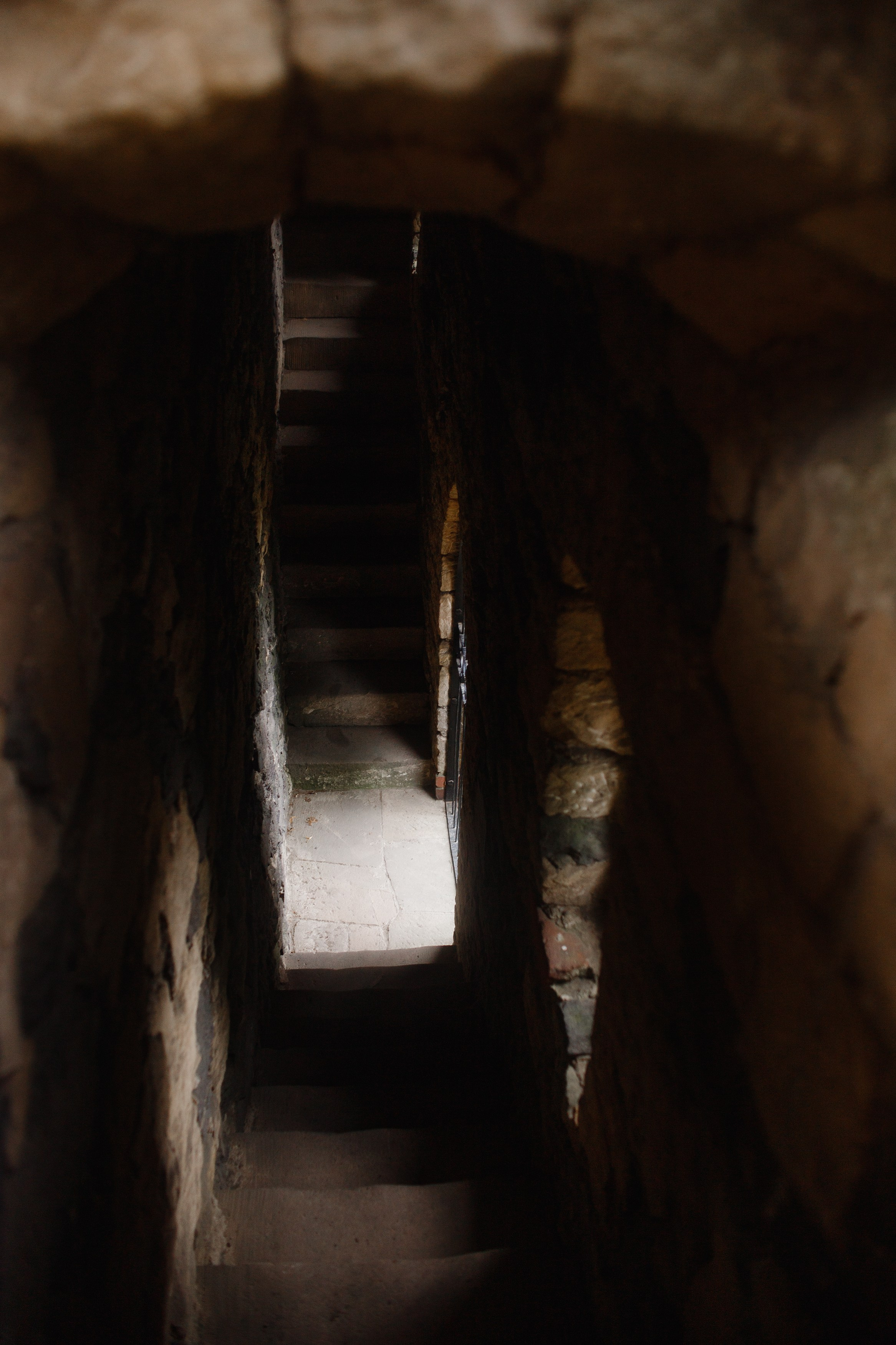 Zamek Grodziec. Kaja | fotograf psów we Wrocławiu