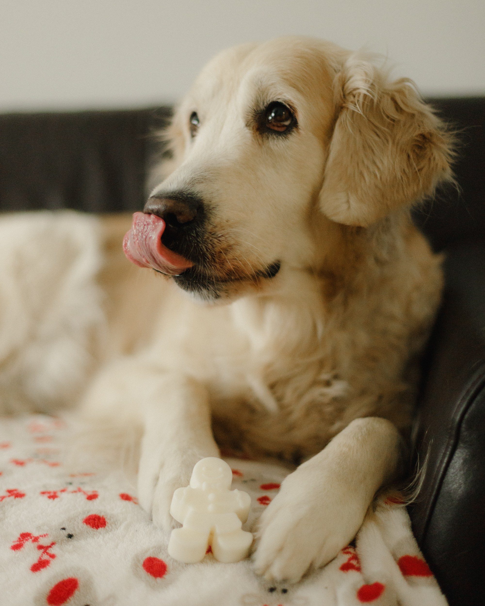 Candles | insta content. Kaja | fotograf we Wrocławiu | ludzie i psy