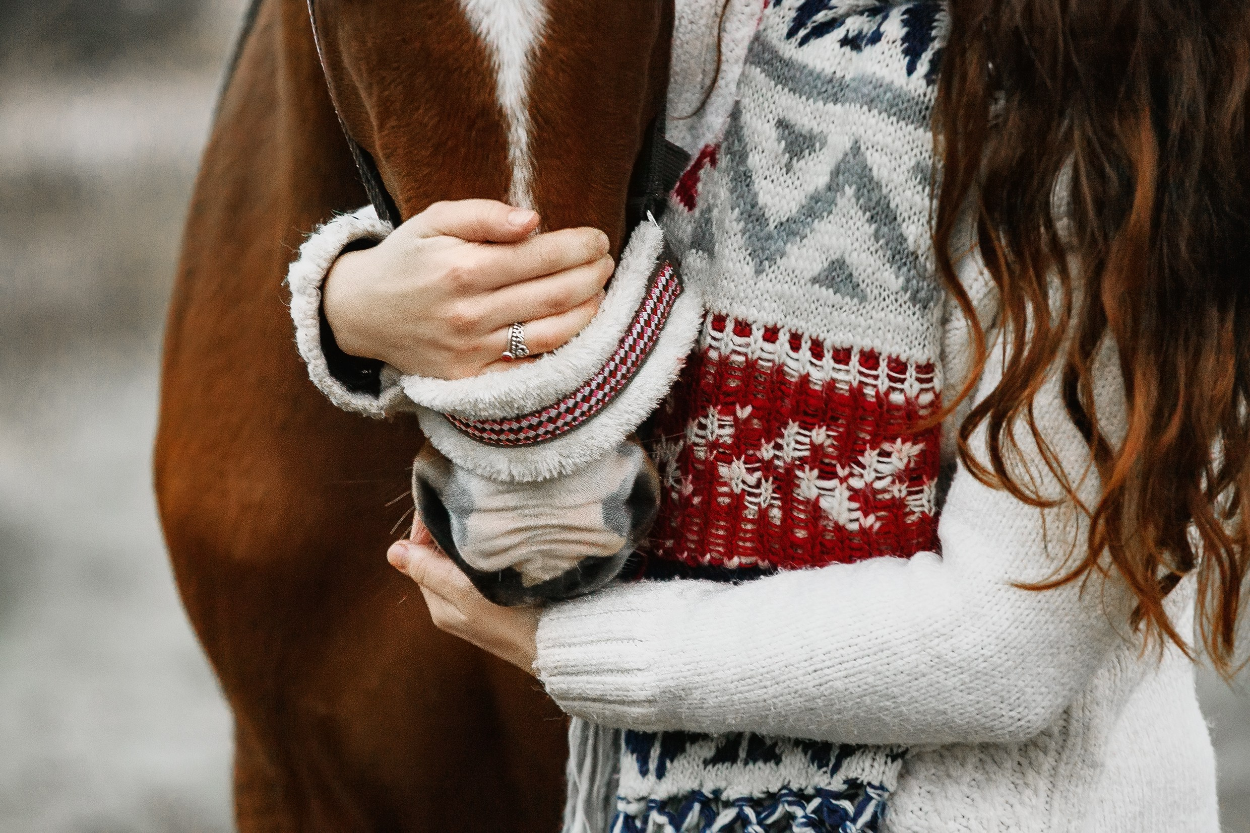 Aibike | winter. Kaja | fotograf psów we Wrocławiu